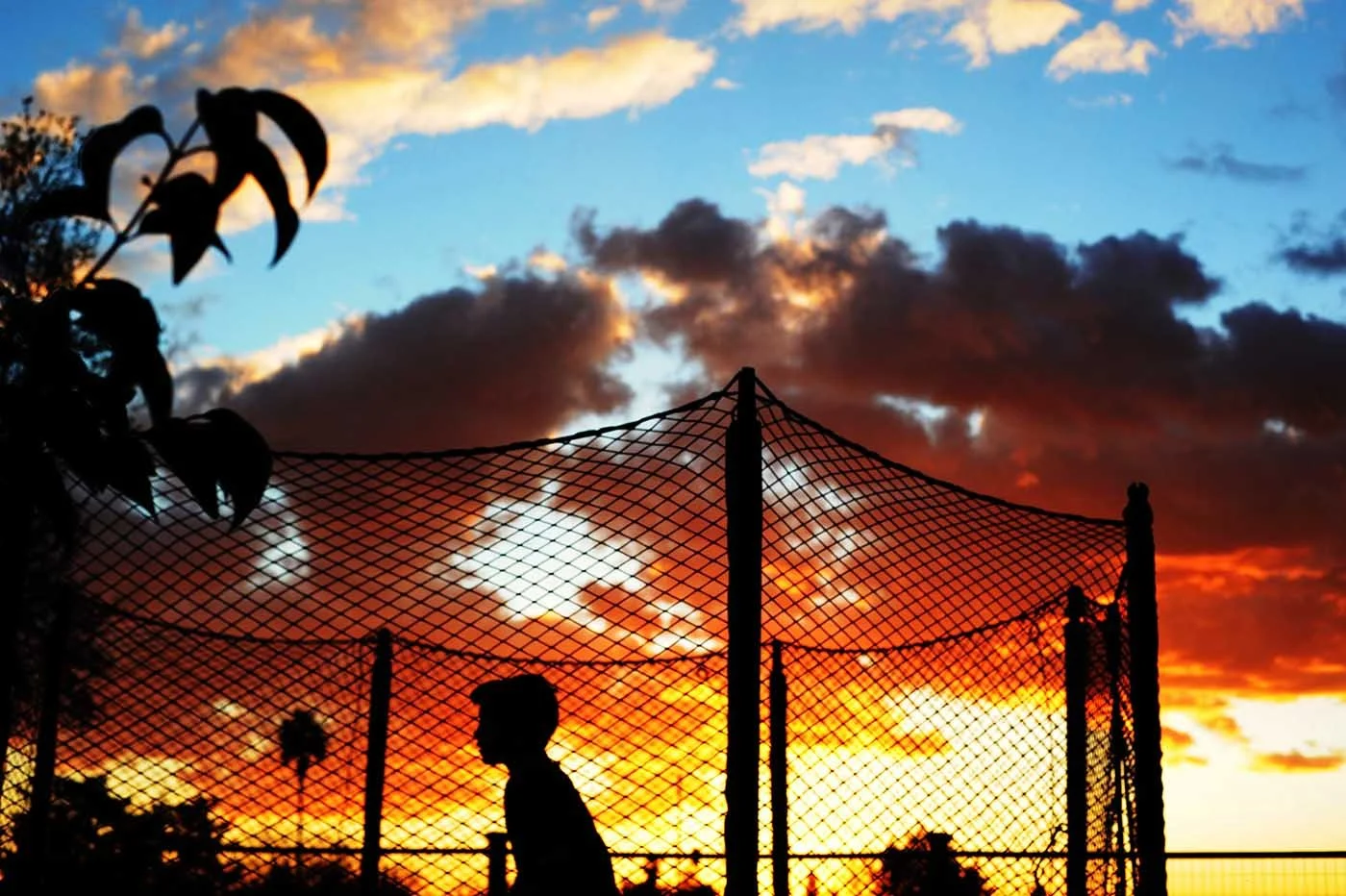 The Best Time of Day for Outdoor Family Photos.