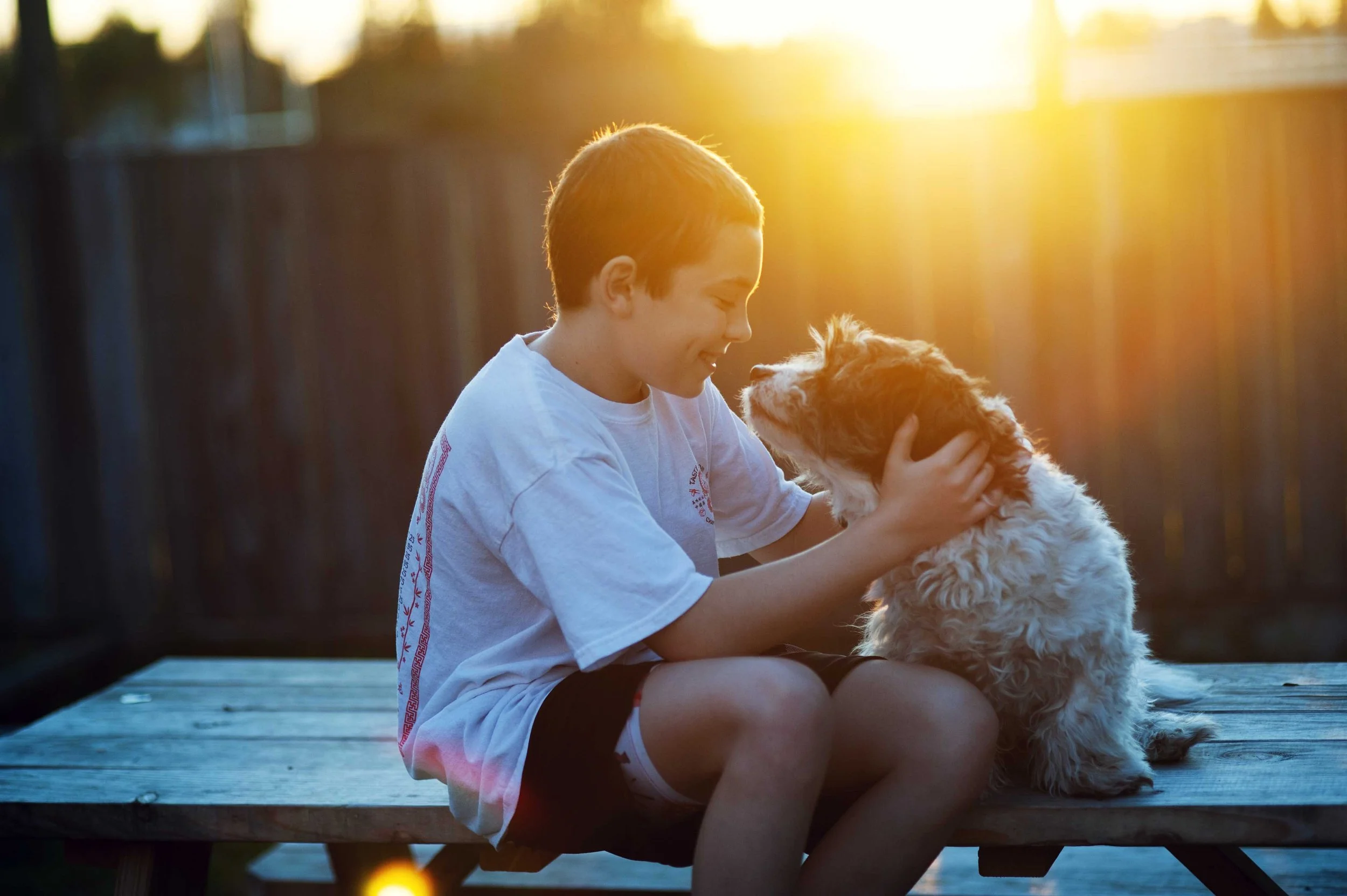 golden-hour-dog-photography-sacramento.jpg