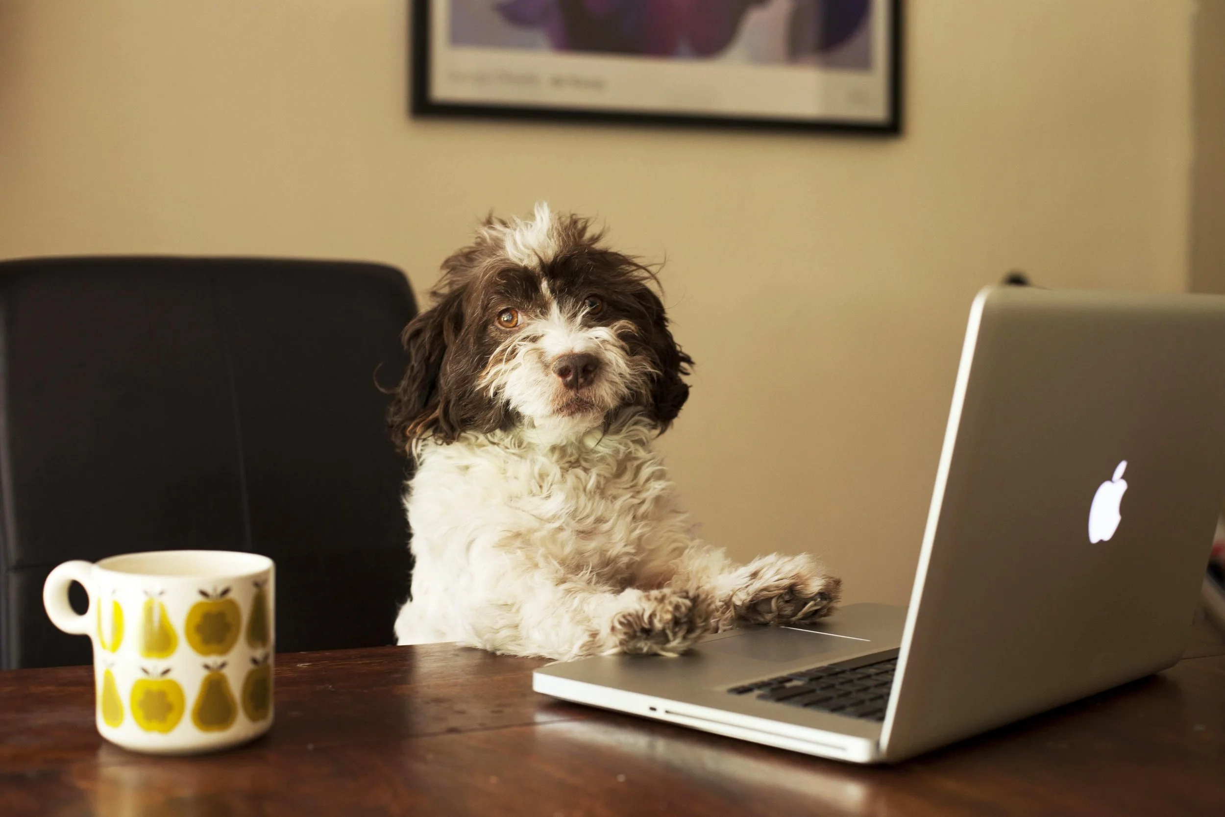 What to Post When You Have No Time for Social Media