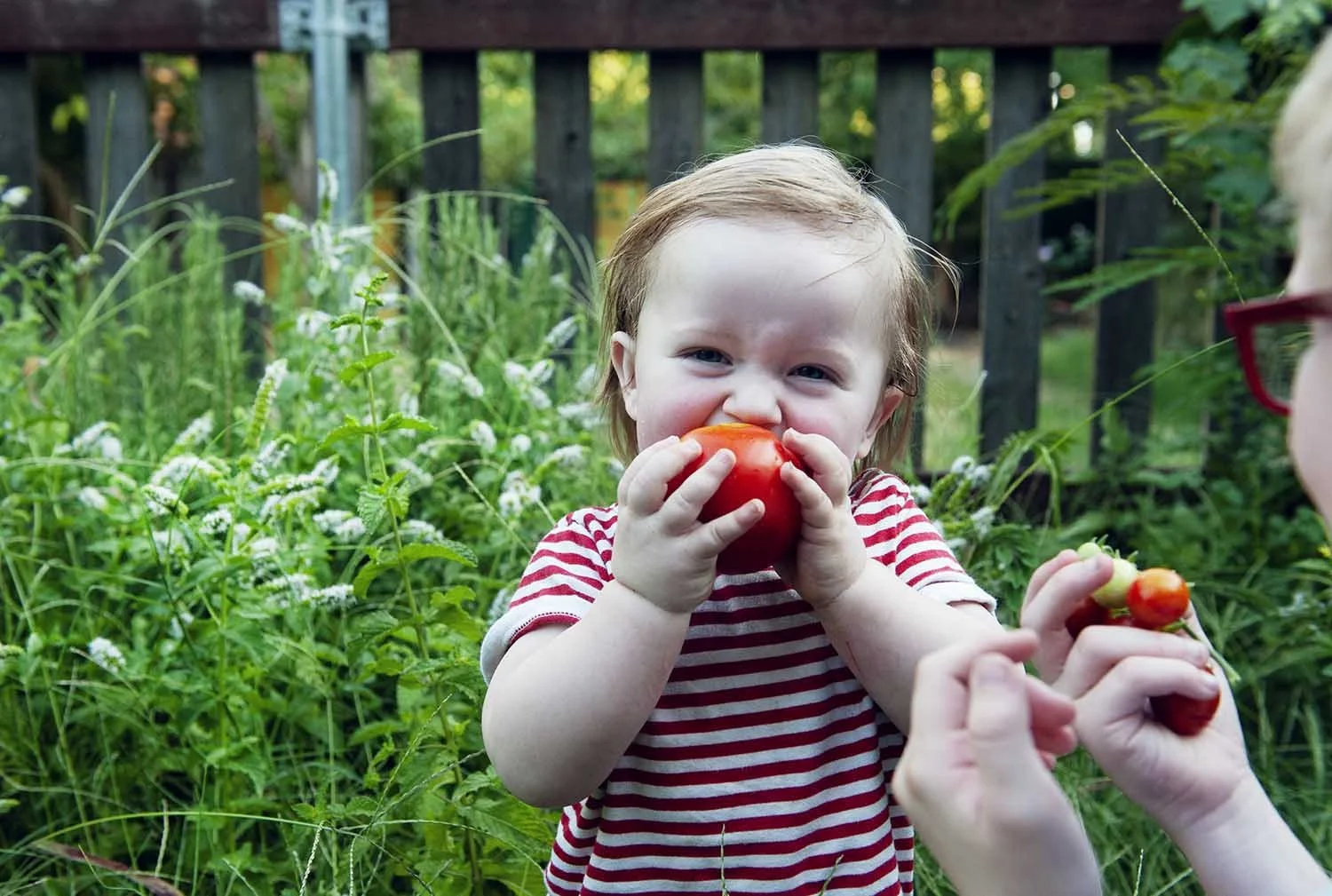 outdoor-family-session-spring-sacramento.jpg