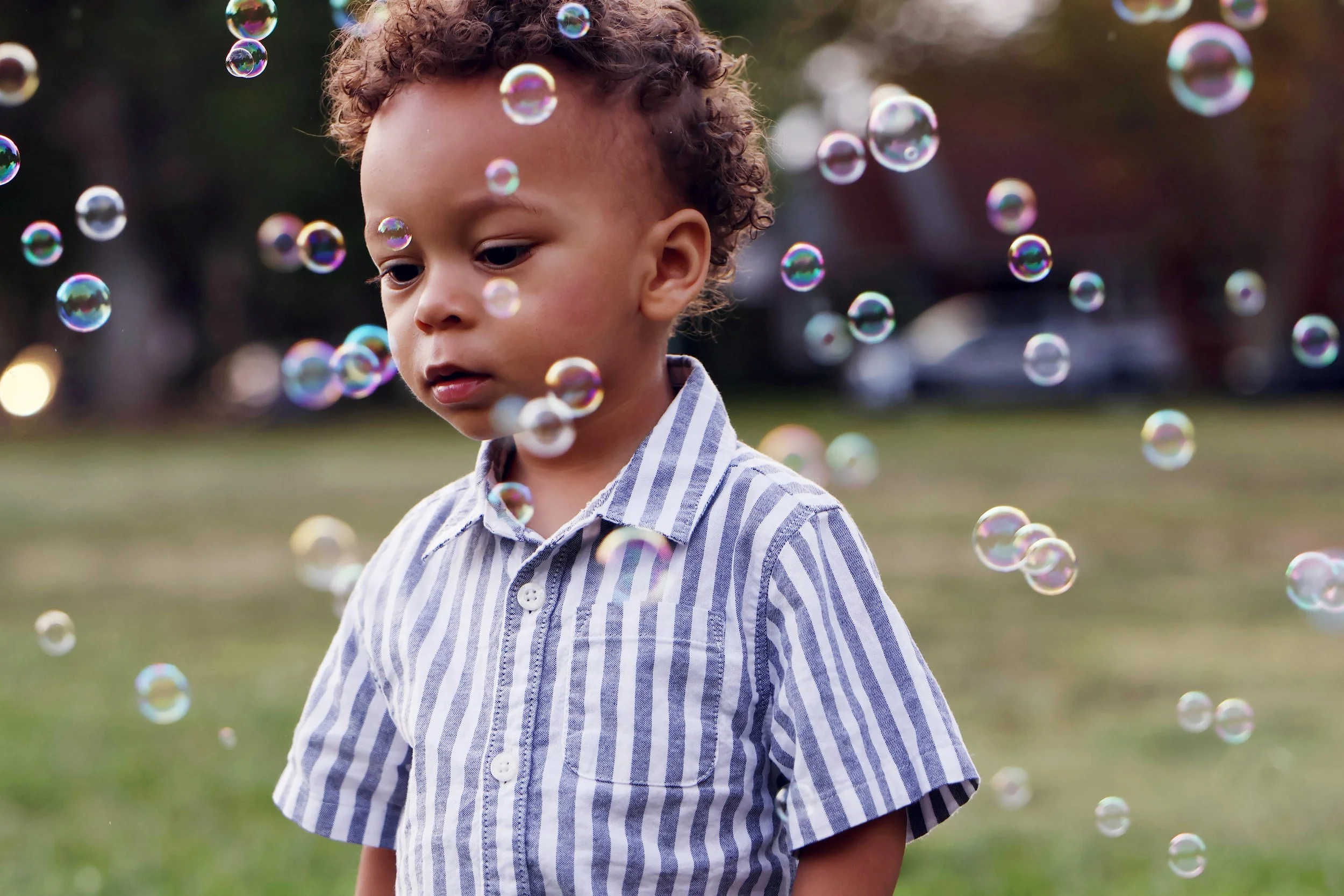 sacramento-family-photographer-fall-mini-sessions.jpg