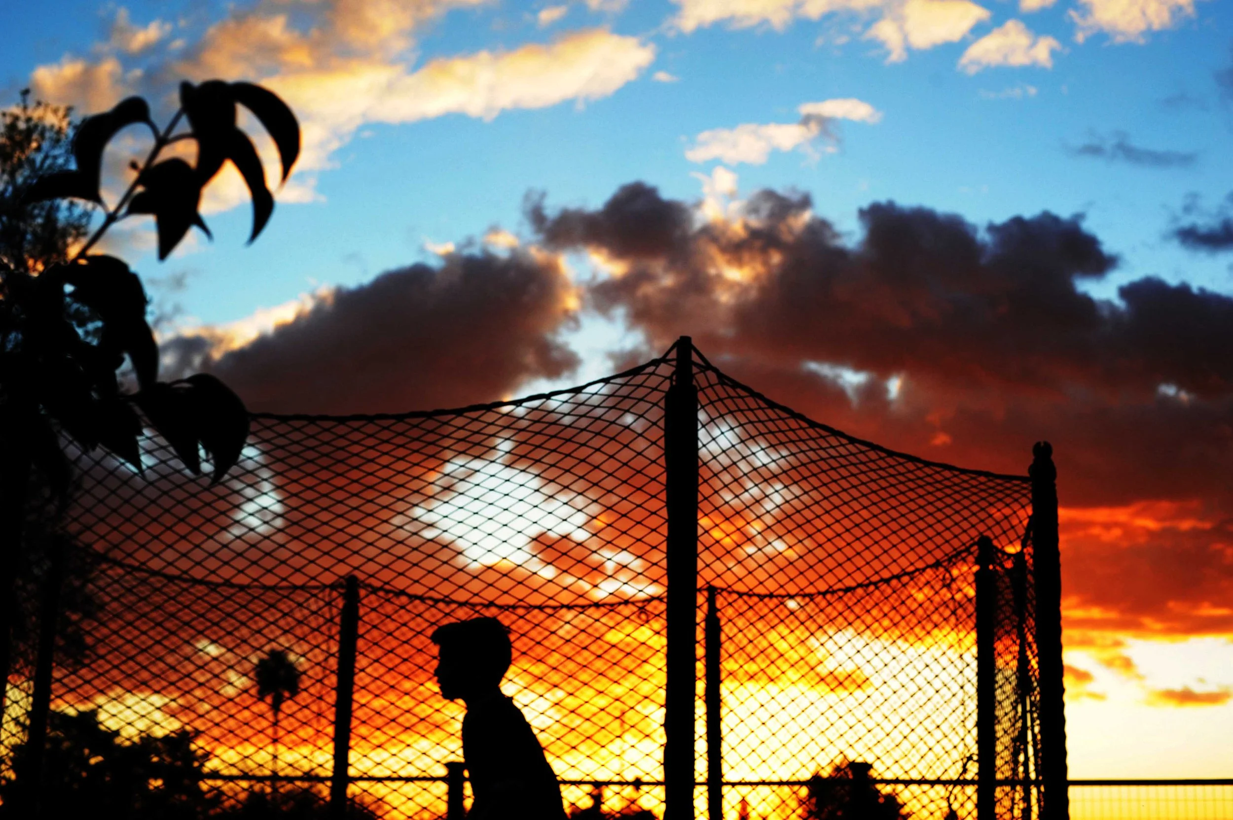 golden-hour-photography-sessions-sacramento.jpg