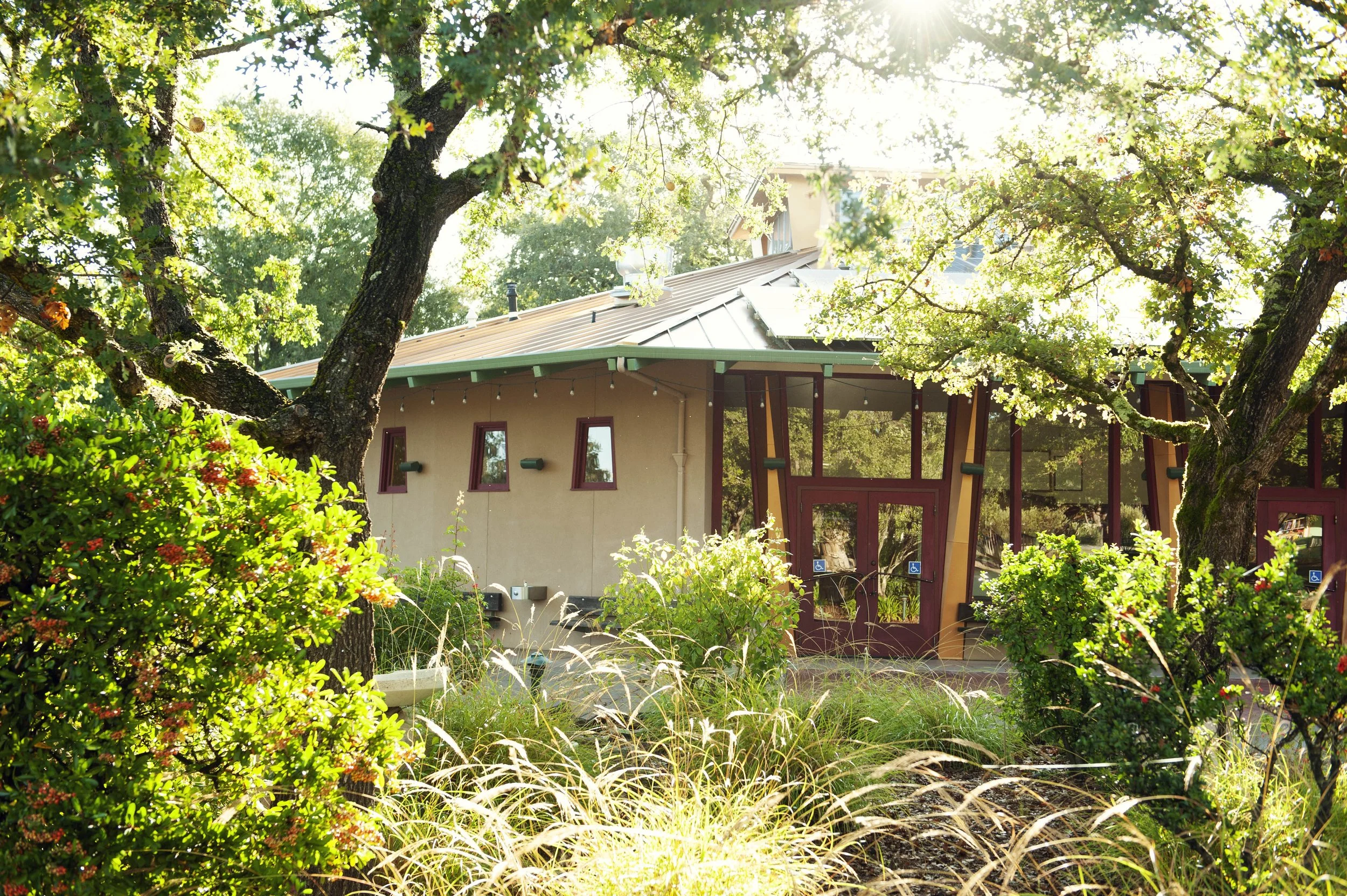 A modern building with a unique architectural design, surrounded by lush green trees and plants in a garden during daylight.