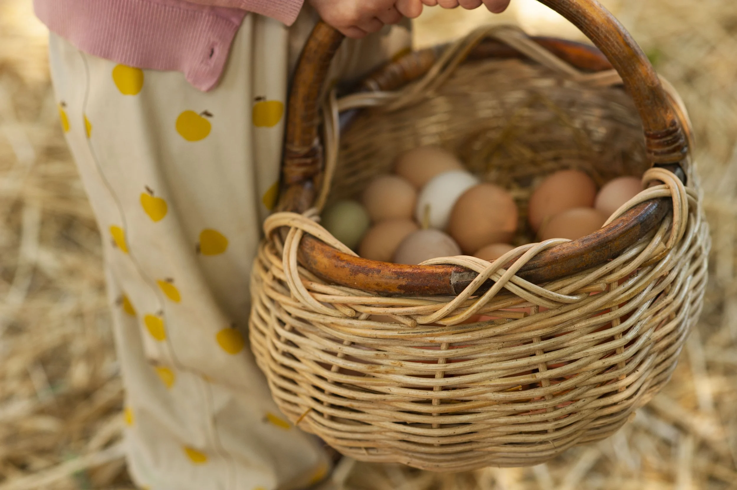 A person wearing a yellow polka dot dress is placing eggs in a wicker basket. The person's face is partially visible, and they are outdoors on a straw-covered ground.