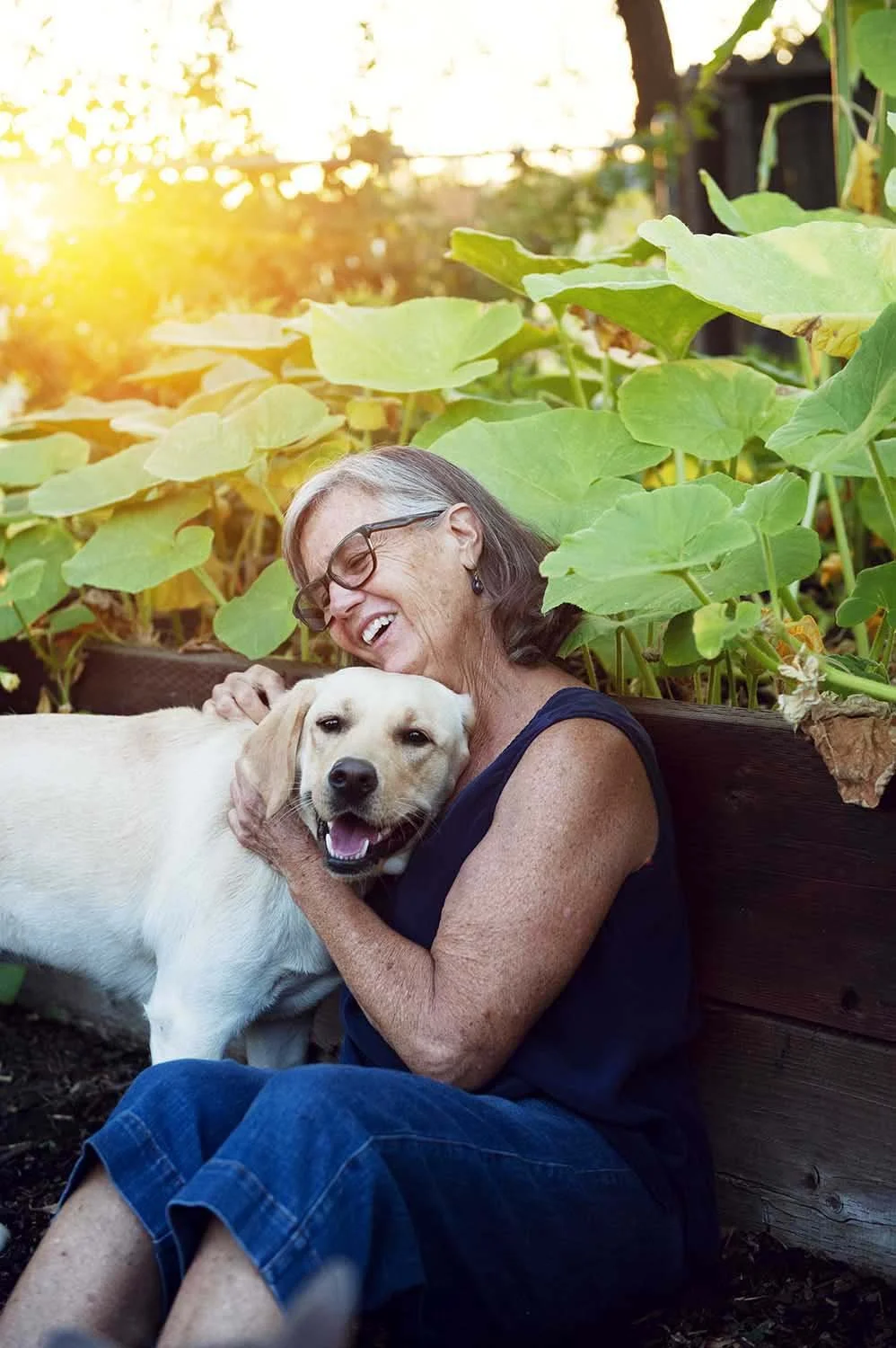 sacramento-small-business-photographer-dog.jpg