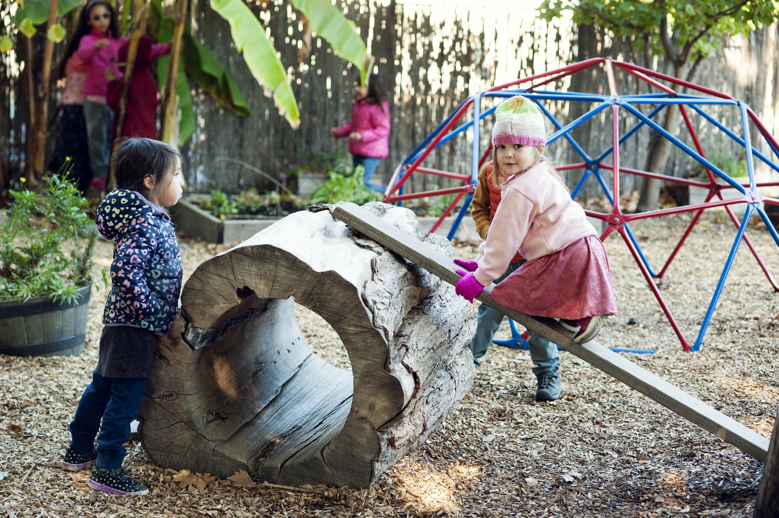 Children playing outdoors in a wooded play area with a large fallen log and a climbing dome structure.