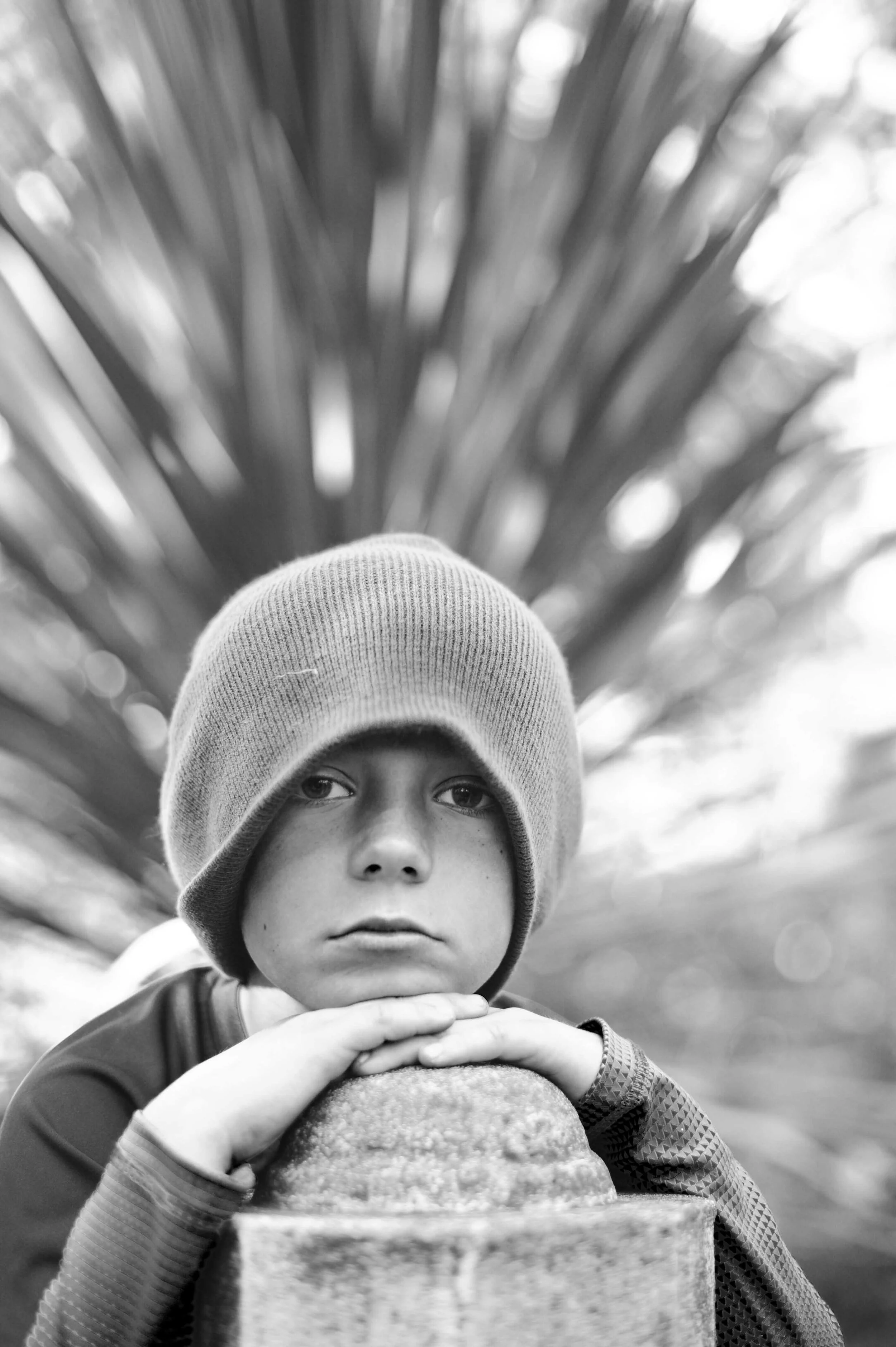 sacramento-fall-outdoor-family-session-piazza-photography.jpg