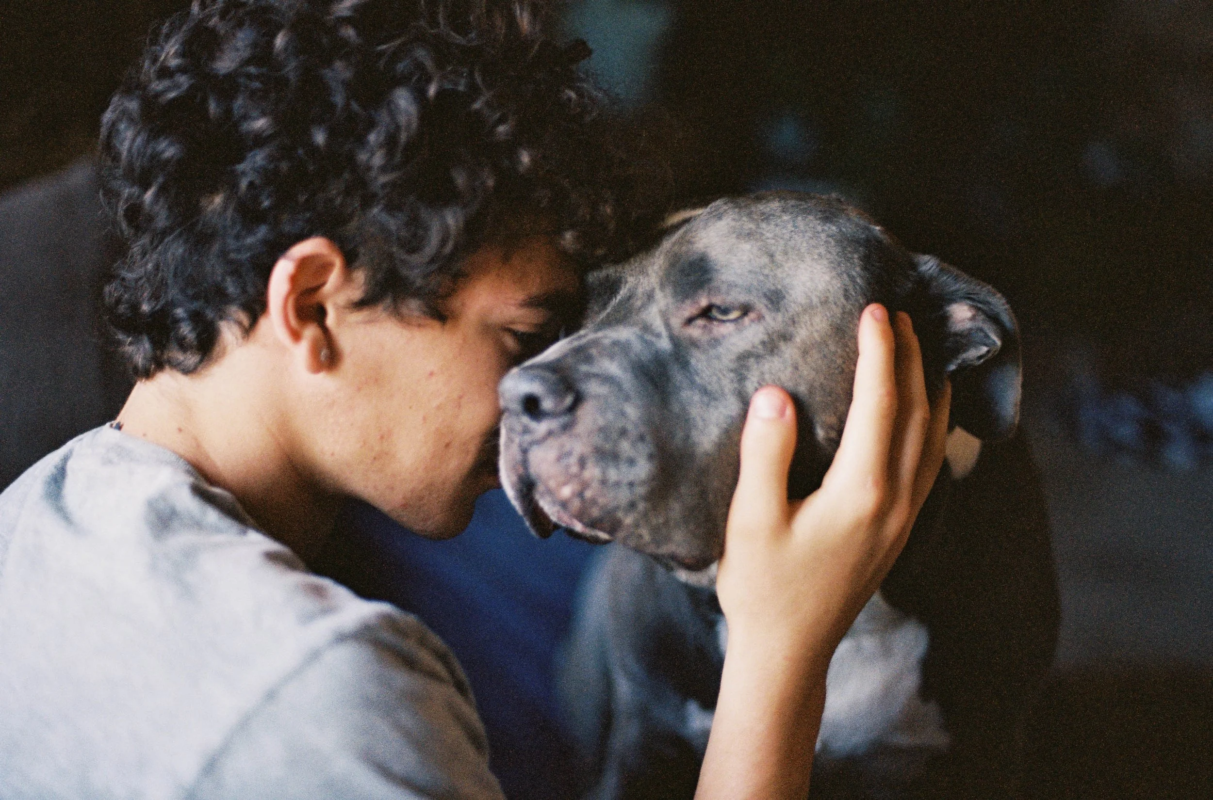 sacramento-family-dog-photorapher.jpg