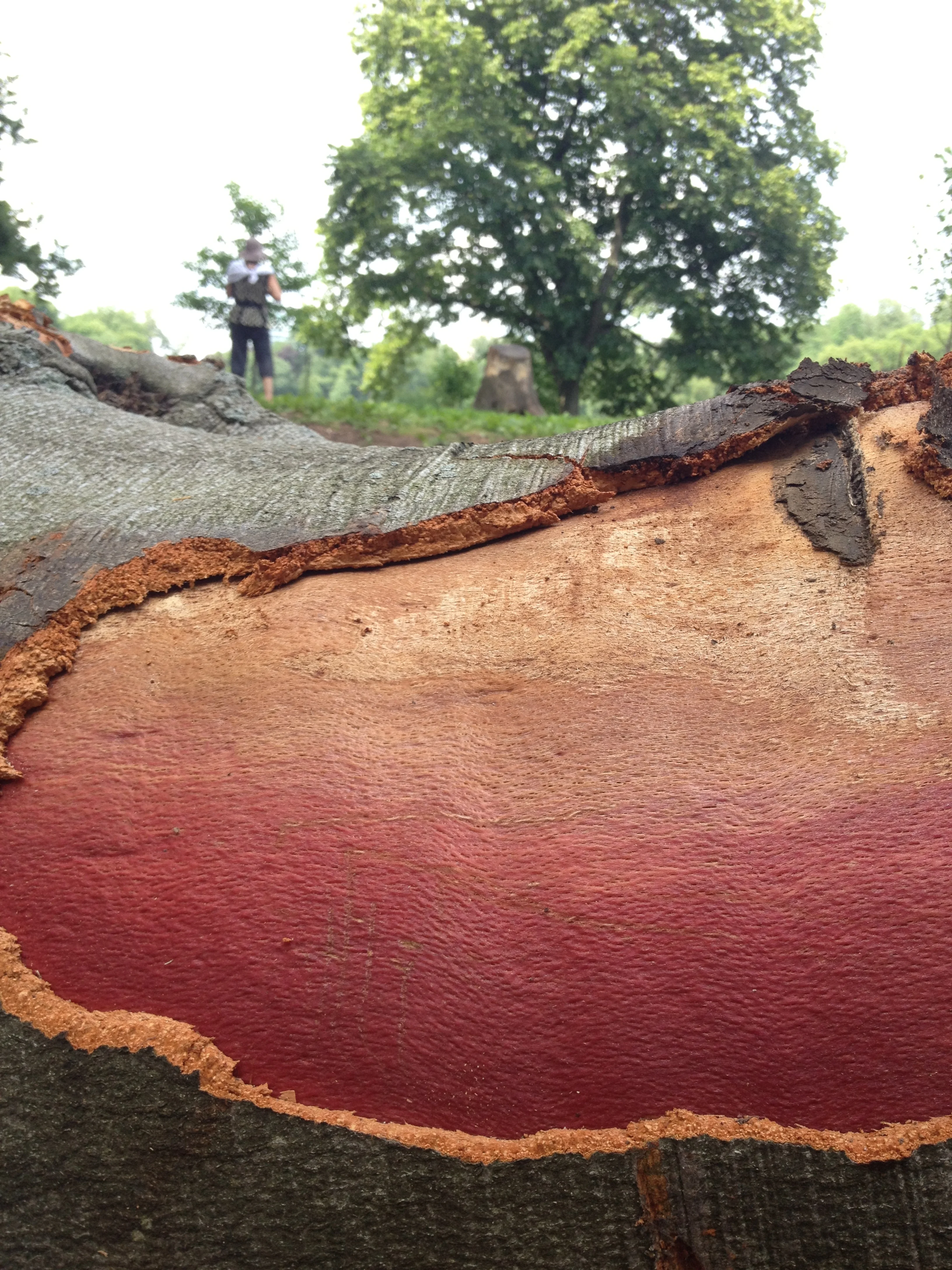 welcome to gathering ground!