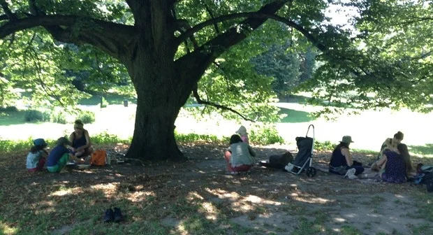 gathering ground featured in NY Spirit