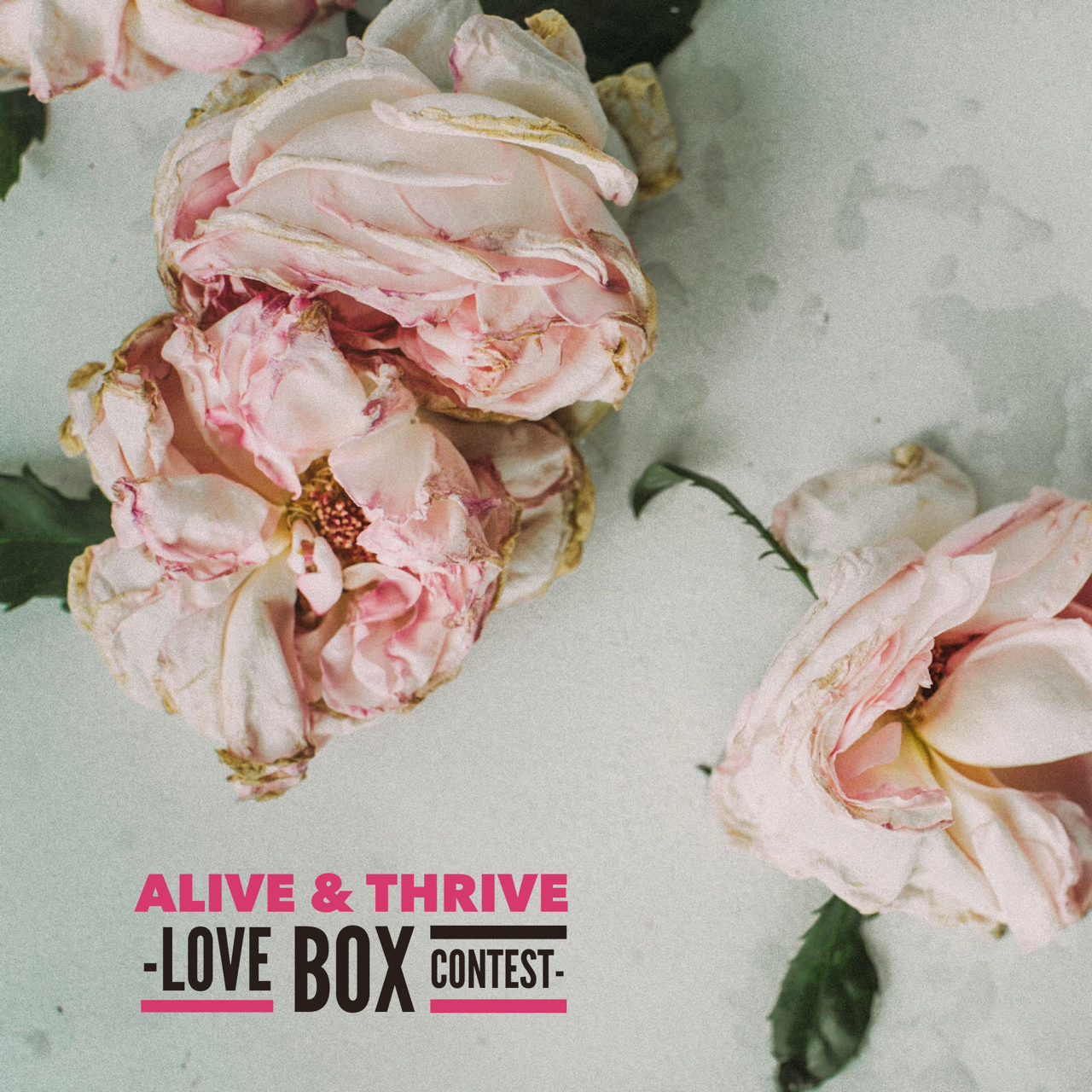 Alive & Thrive Market: Wellness Market and Open House at MINKA Brooklyn