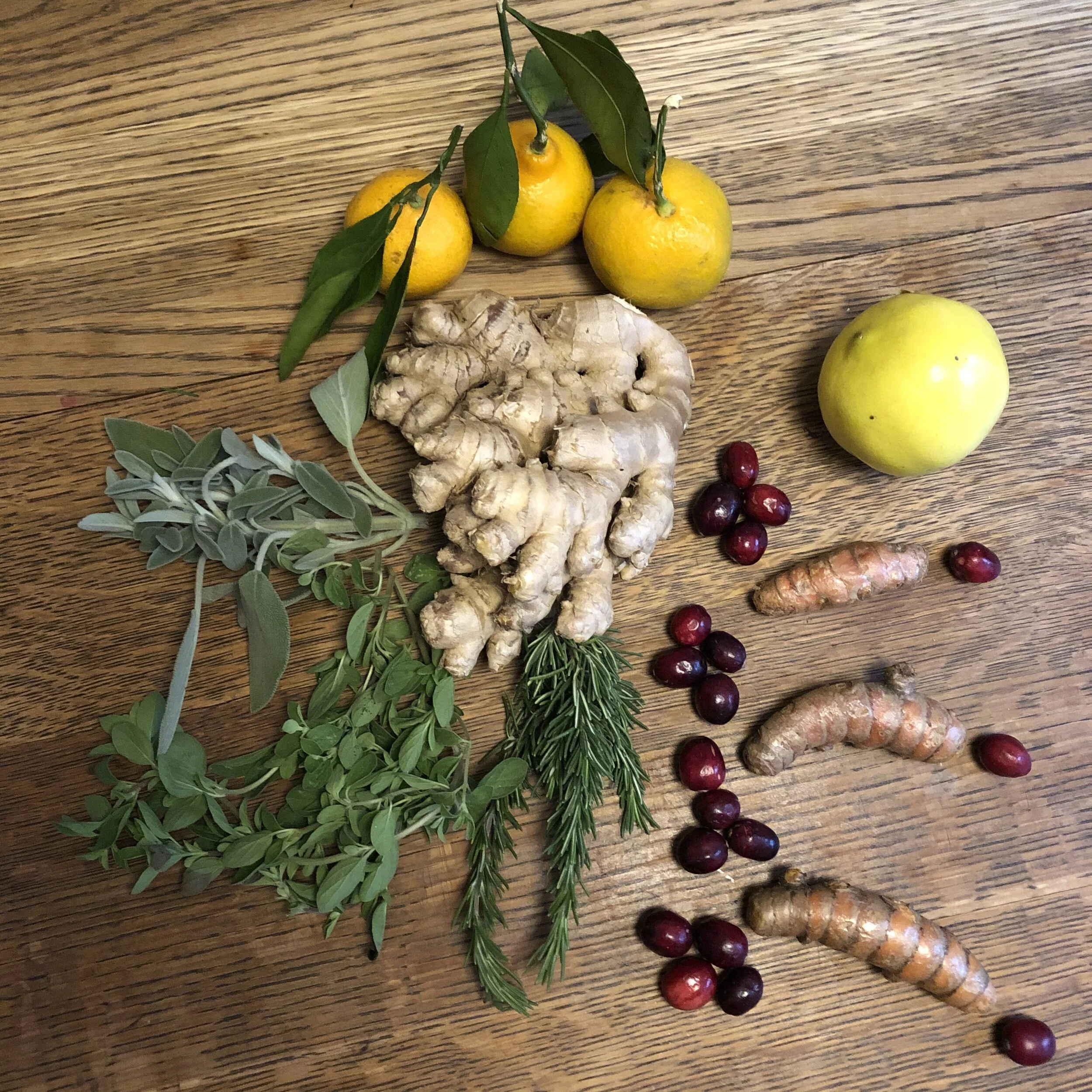 Crafting Herbal Elixirs & Oxymels