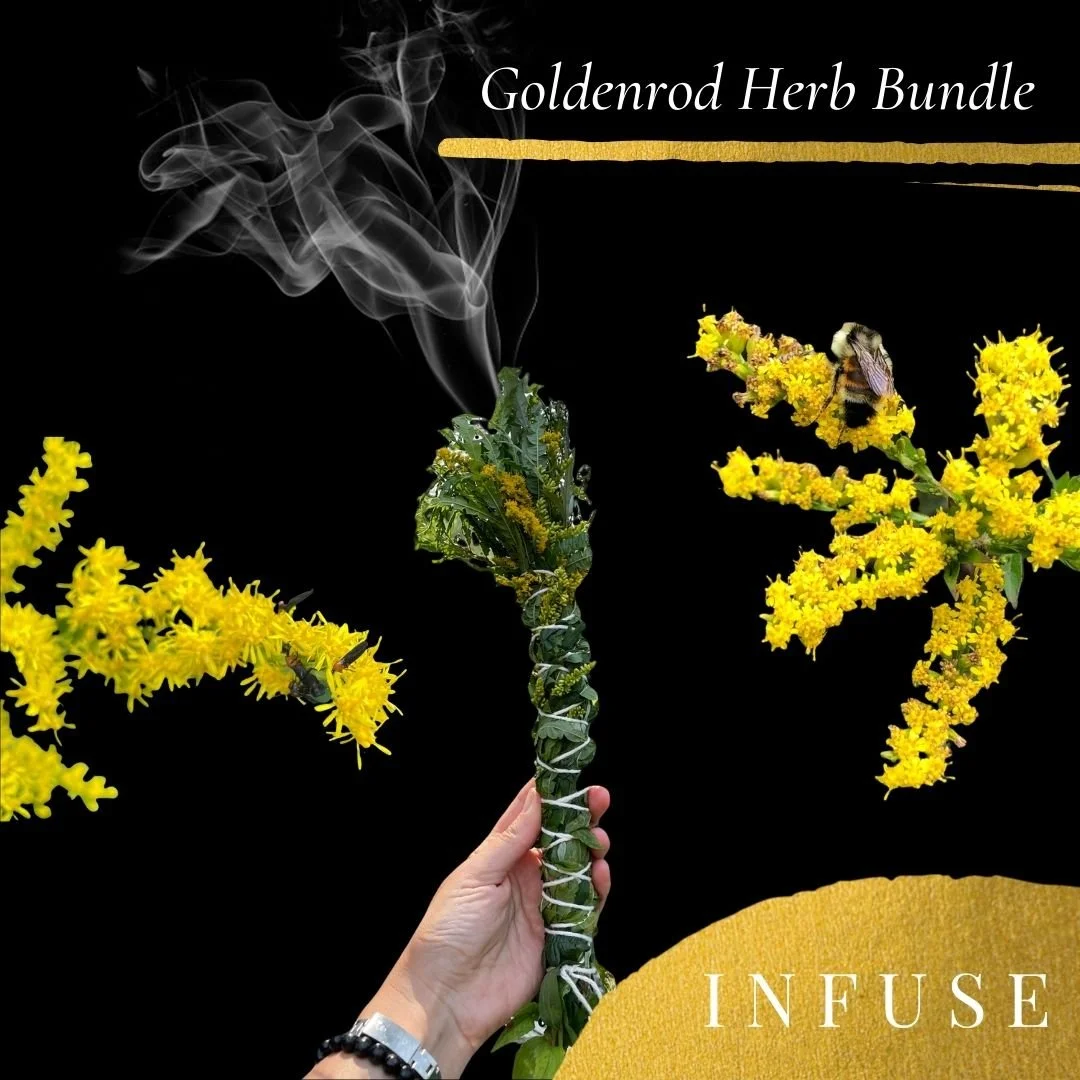 Bringing Goldenrod’s Light Into the Darkness (Video)