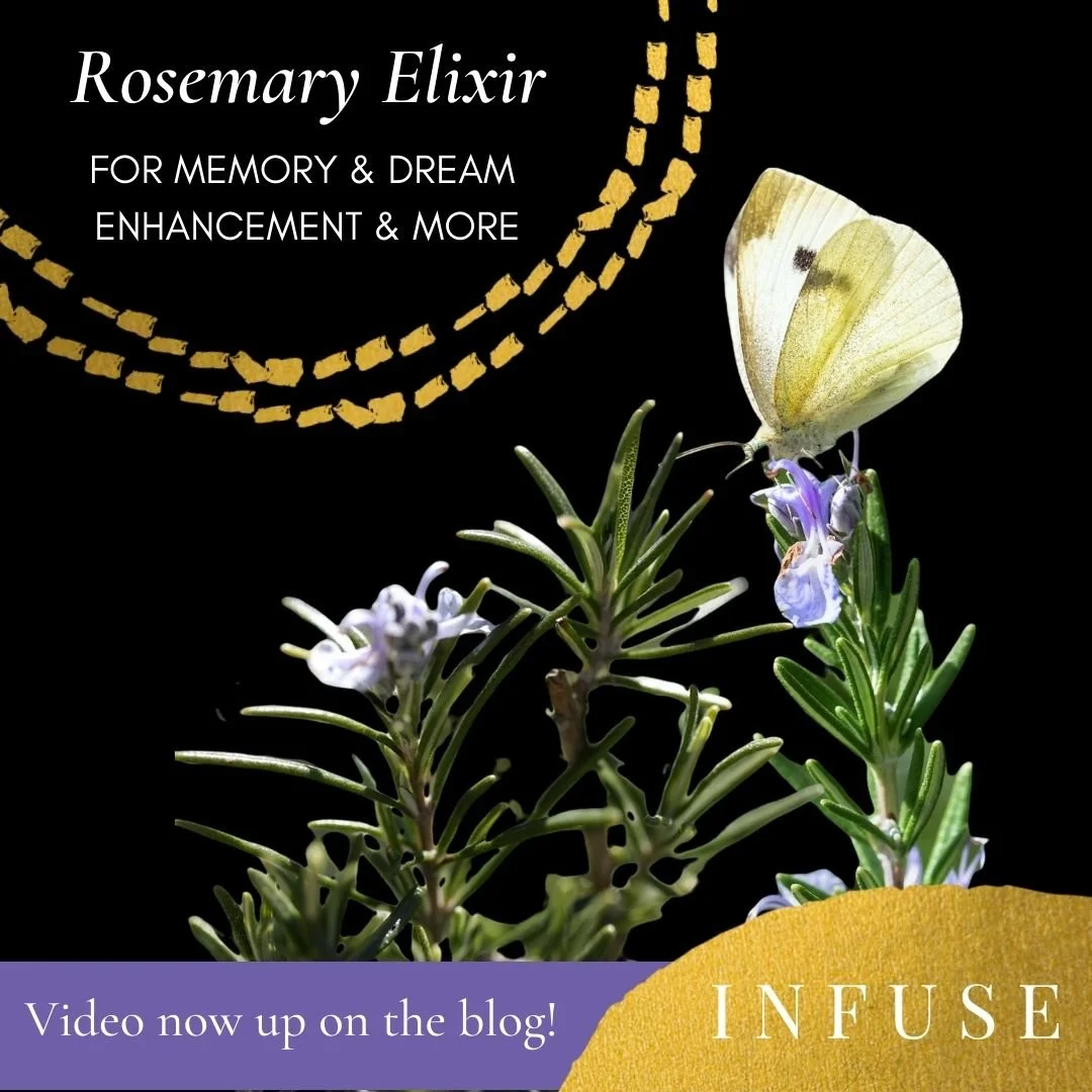 Rosemary Elixir for Memory and Dream Enhancement, and More — Gathering