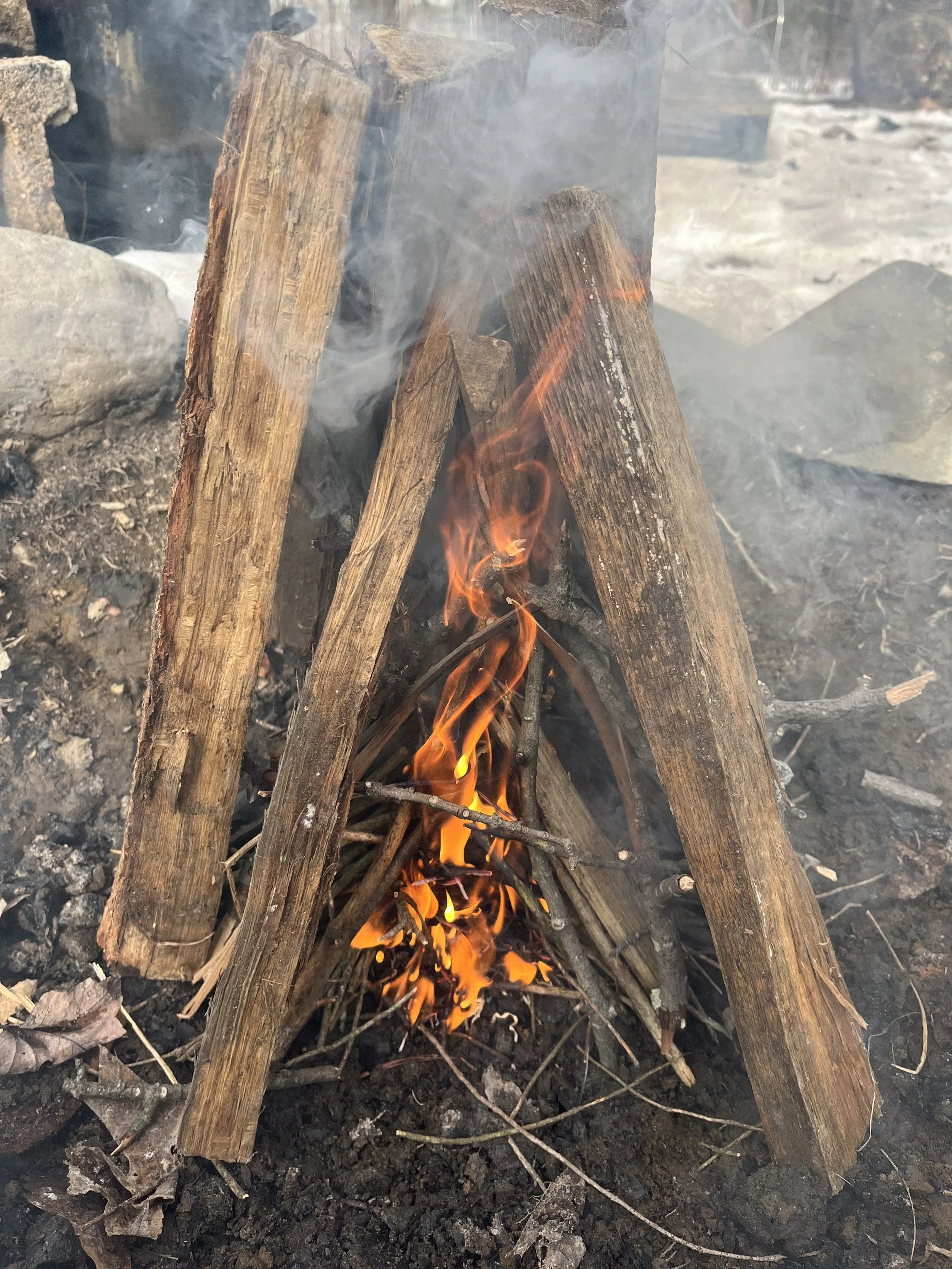 Fire & Forage