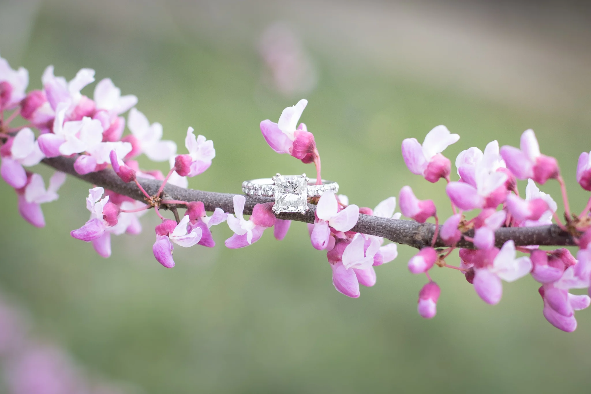 Caroline_and_Ryan_Engagement_Session_WEB_Ring.jpg
