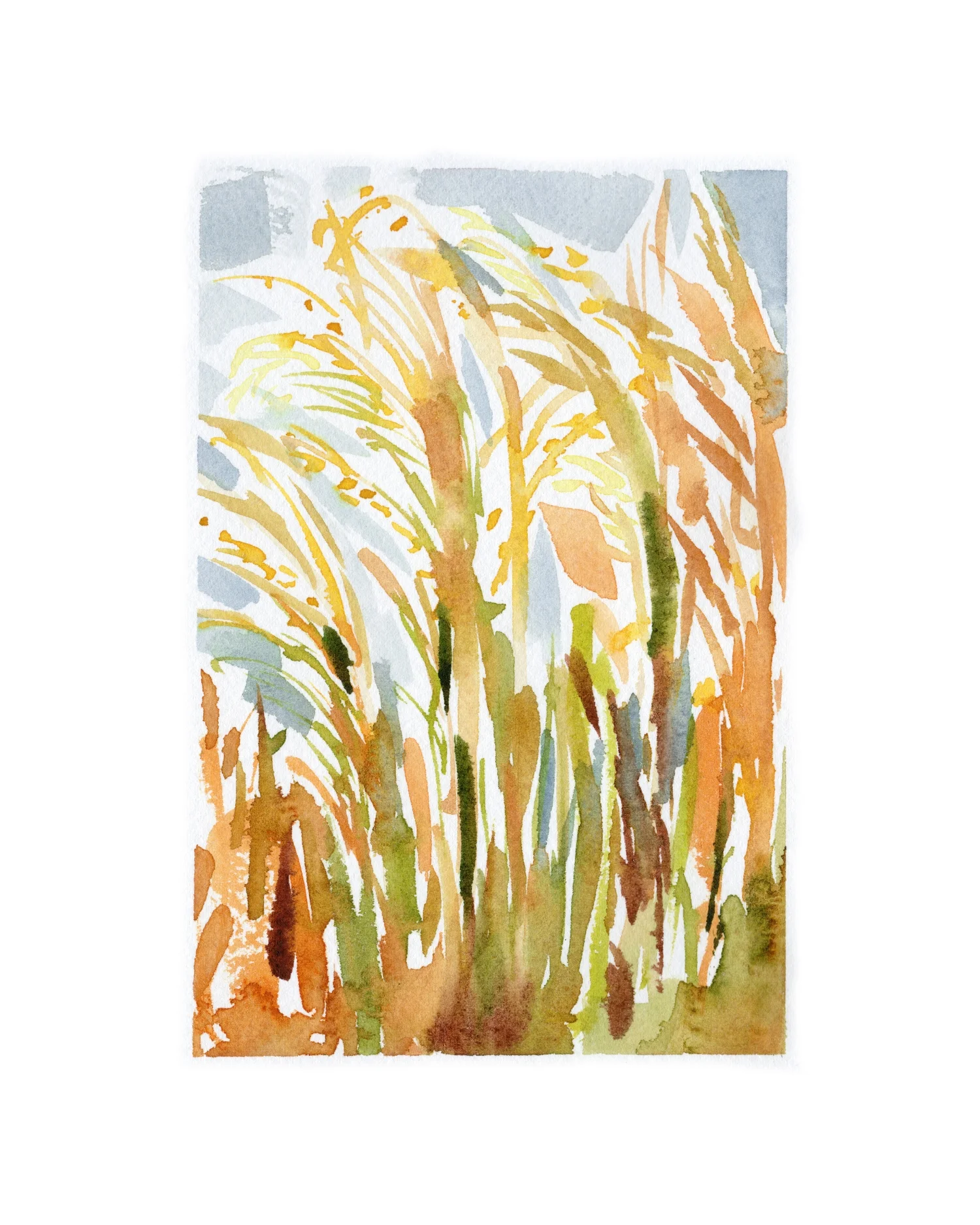 10a_grasslands_8x10_oct2018.jpg