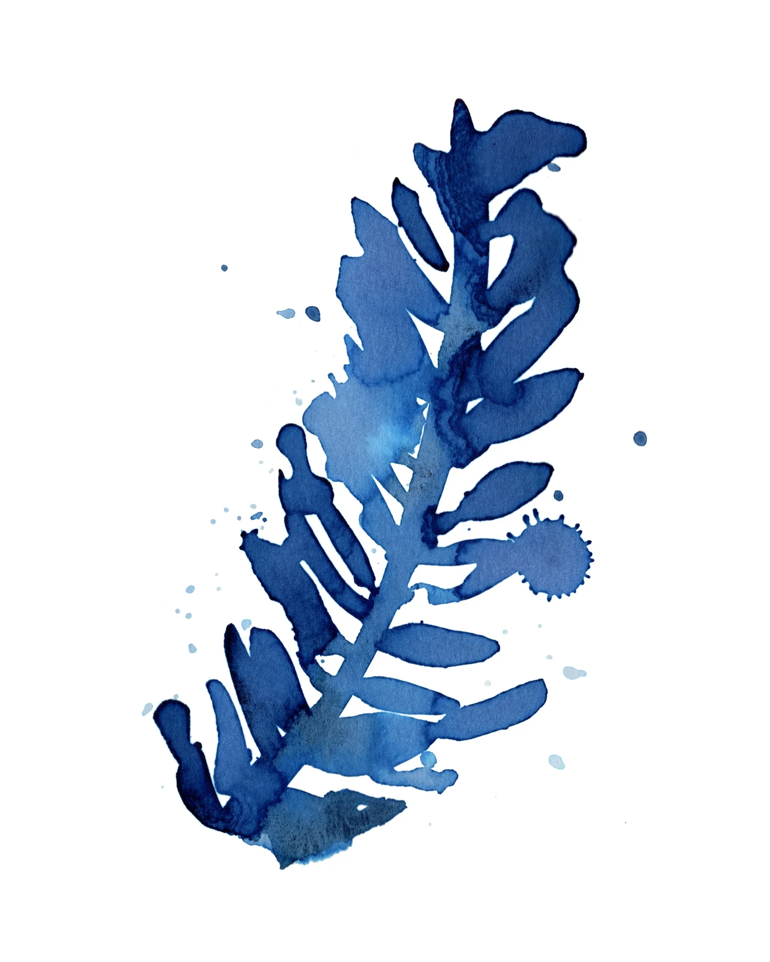 blue_leaf_feb17_8x10.jpg