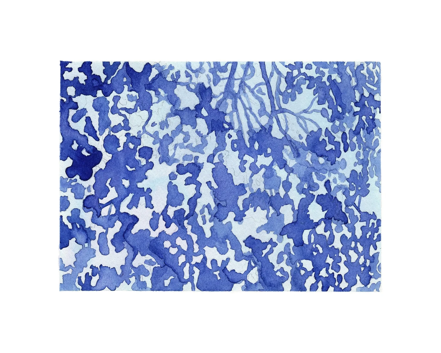 blue_shadows_feb27_8x10.jpg