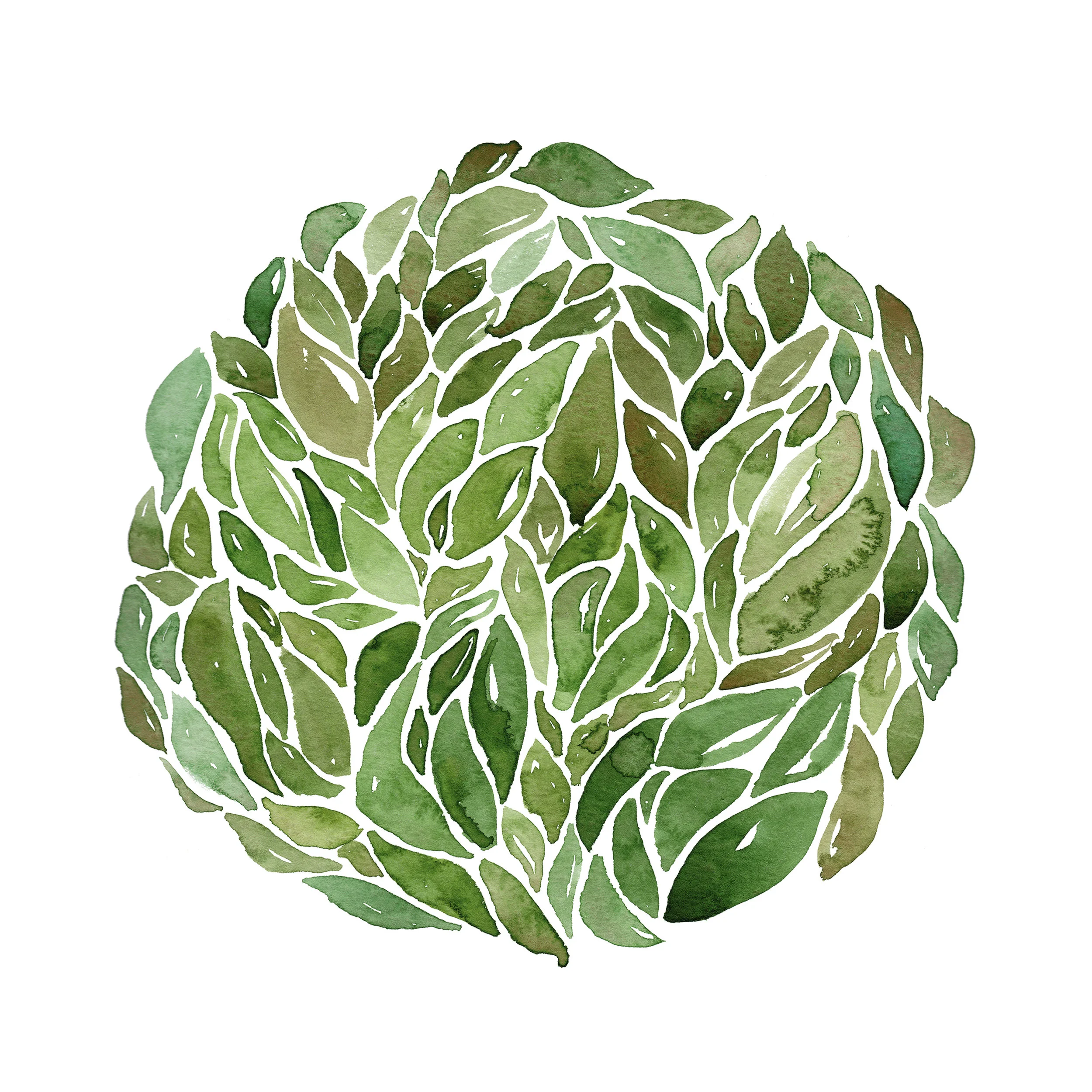 green_leaf_circle_feb27_10x10.jpg