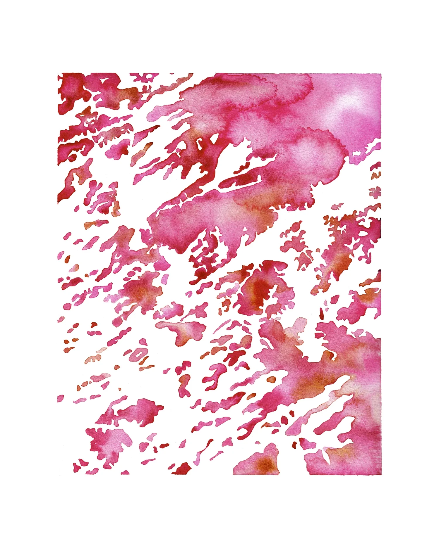 pink_shadows_feb27_8x10.jpg