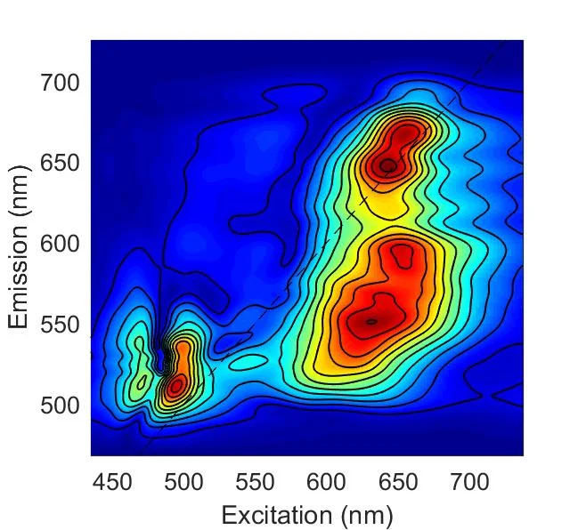 Broadband 2D electronic spectrum of LHCII, which maps out excited states and dynamics across the visible region.