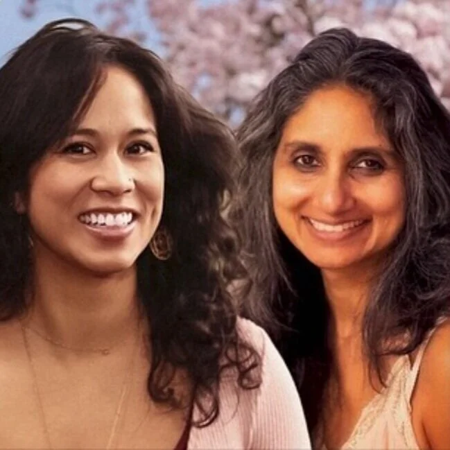 Jocelyn Kay Levy – BHNN Guest Podcast – Ep. 76 – Mothers’ Perspective on Practice with Nina Rao