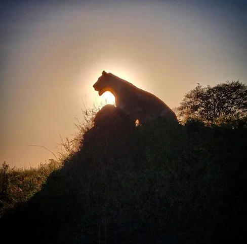 Africa: Tanzania with Nina Ra