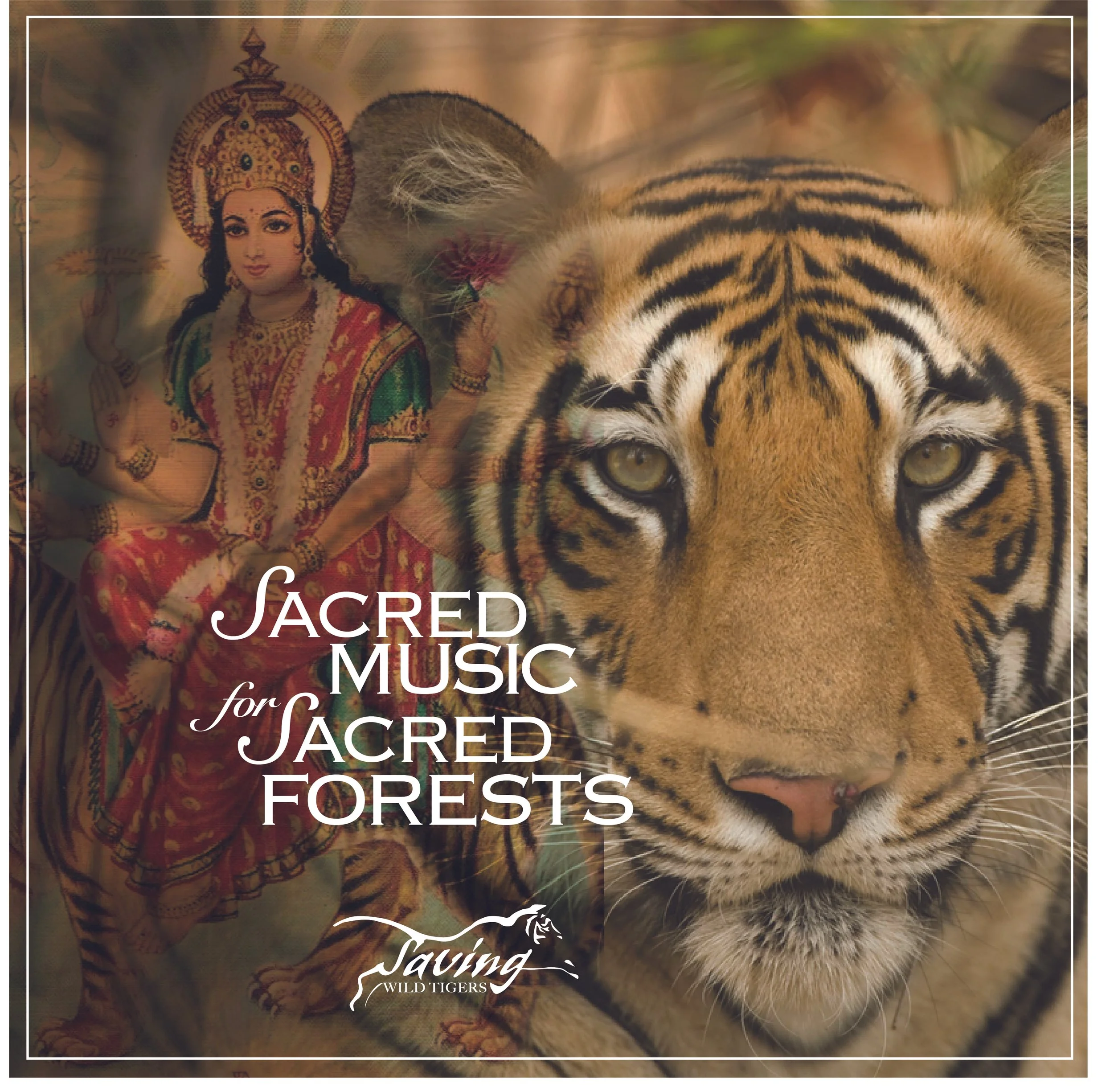 Rishikesh, India: Sacred Music for Sacred Forests with Nina Rao & Arjun Bruggeman