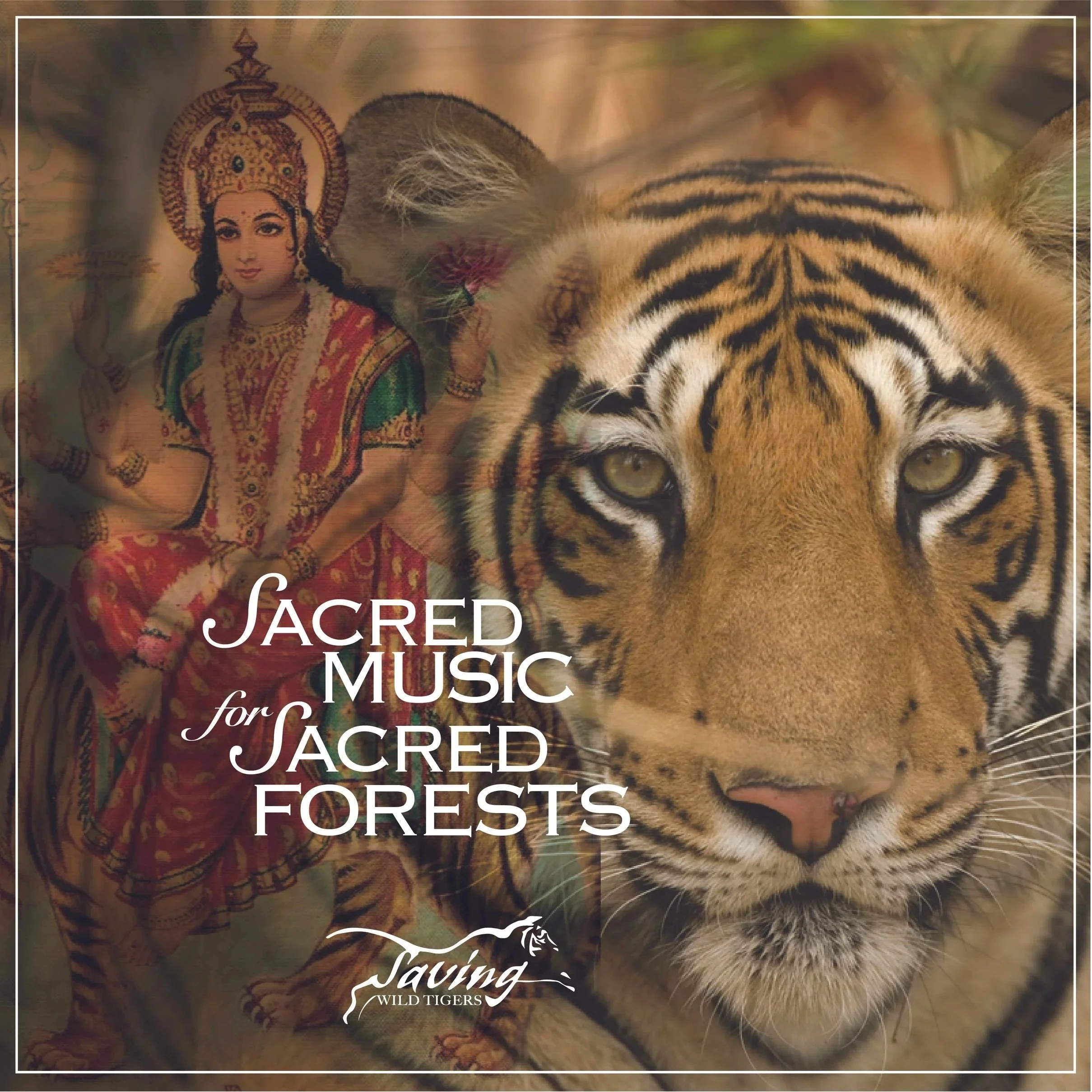 Rishikesh, India: Sacred Music for Sacred Forests Concert