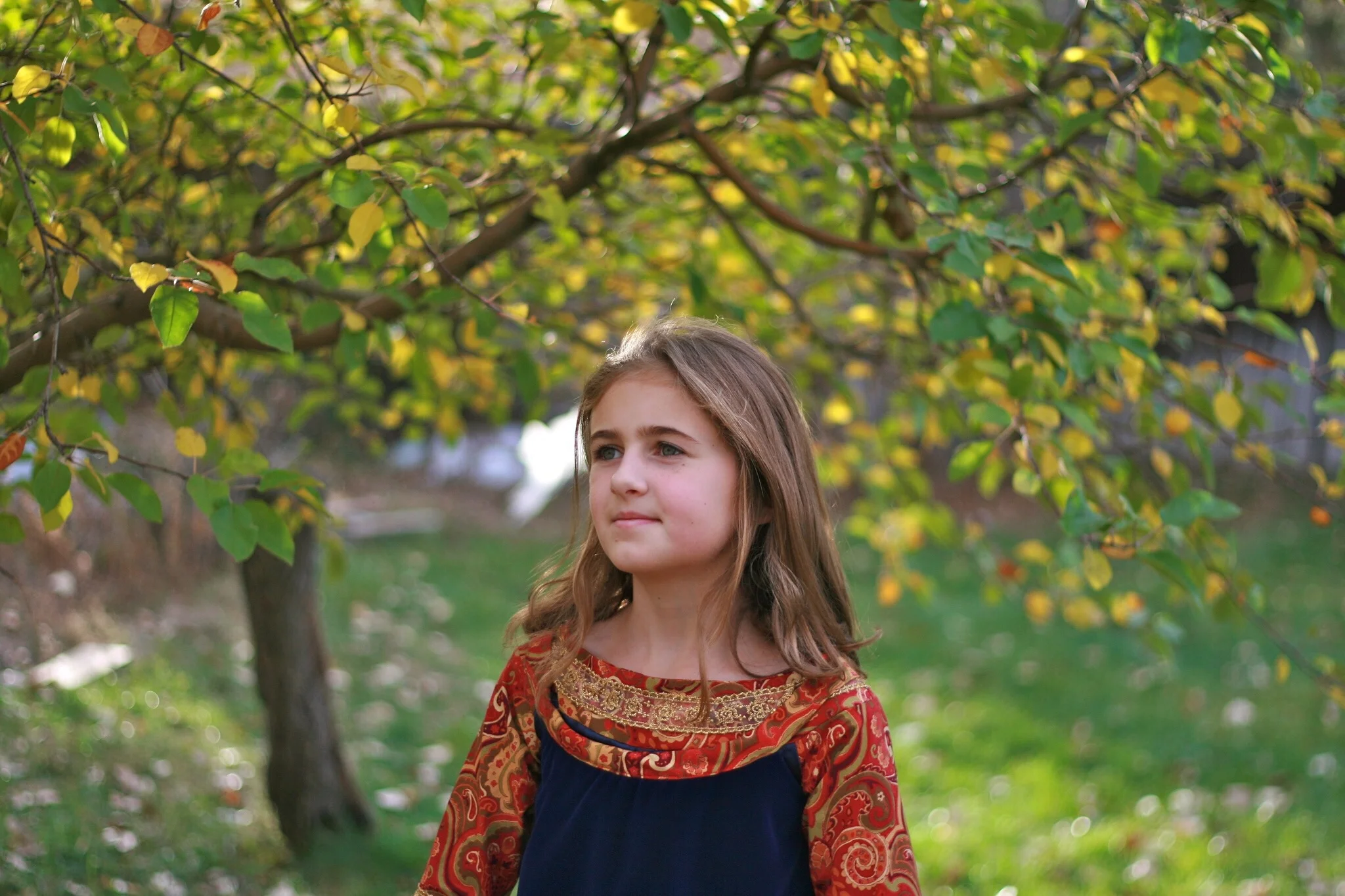 Arwen costume
