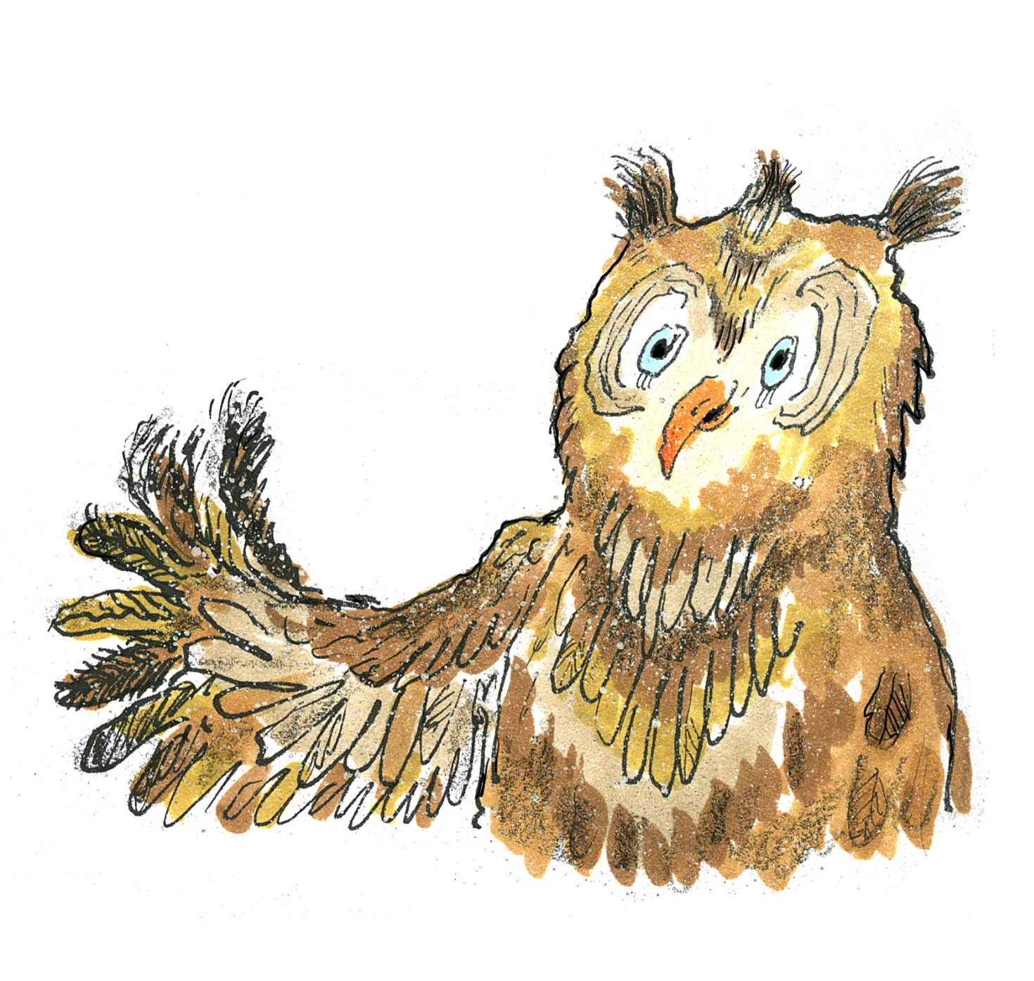 owl1.jpg