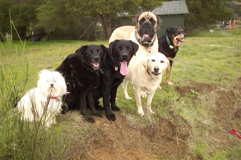 A good leader leading a good group...