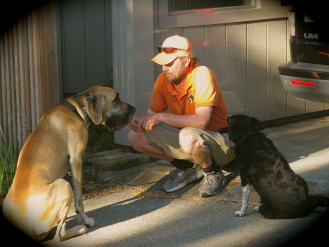 At Sir Walks A-Lot, we have proven results gained from over a decade of experience helping dog owners have a better, more meaningful day-to-day lives with their dogs