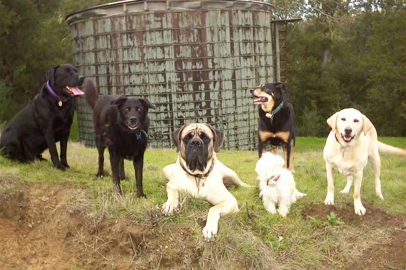group2.163225253_std.jpg