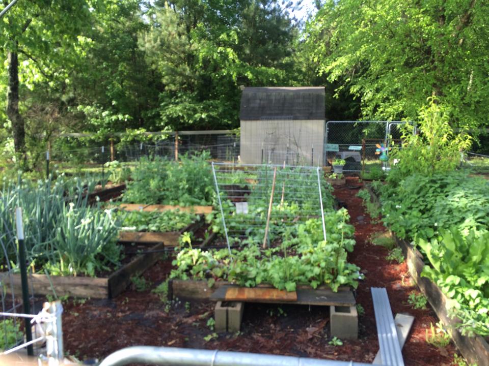 And the gardens exploded!