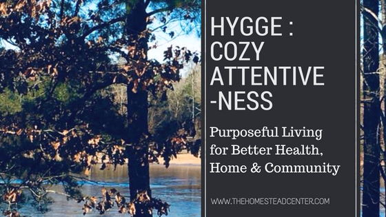Hygge - Cozy Attentiveness.png