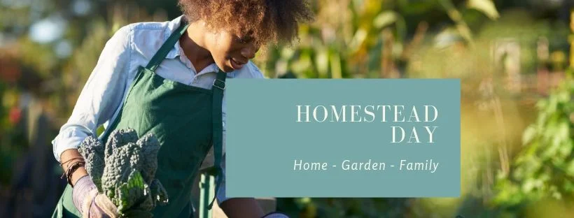 HomesteadDay.jpg
