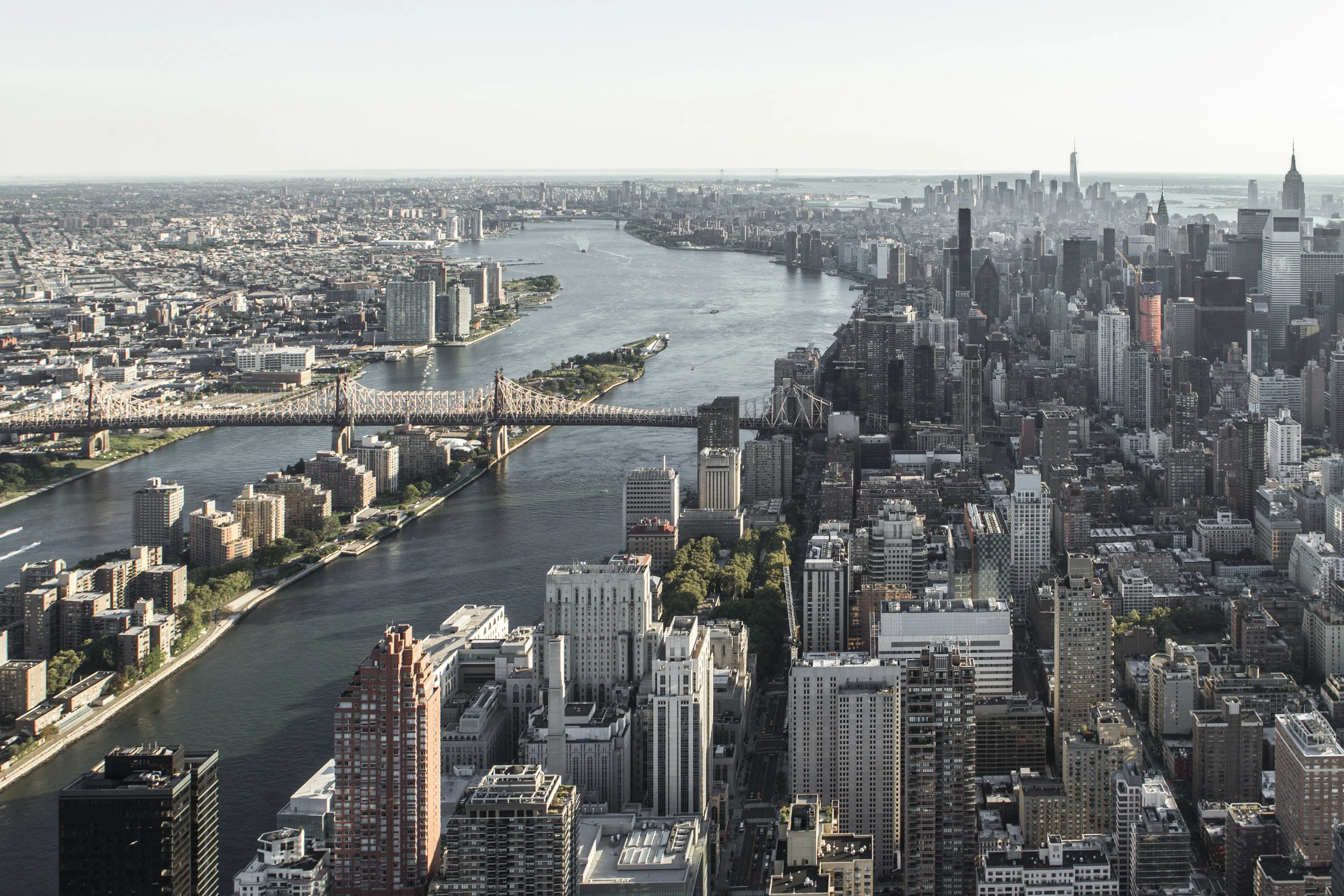 ny