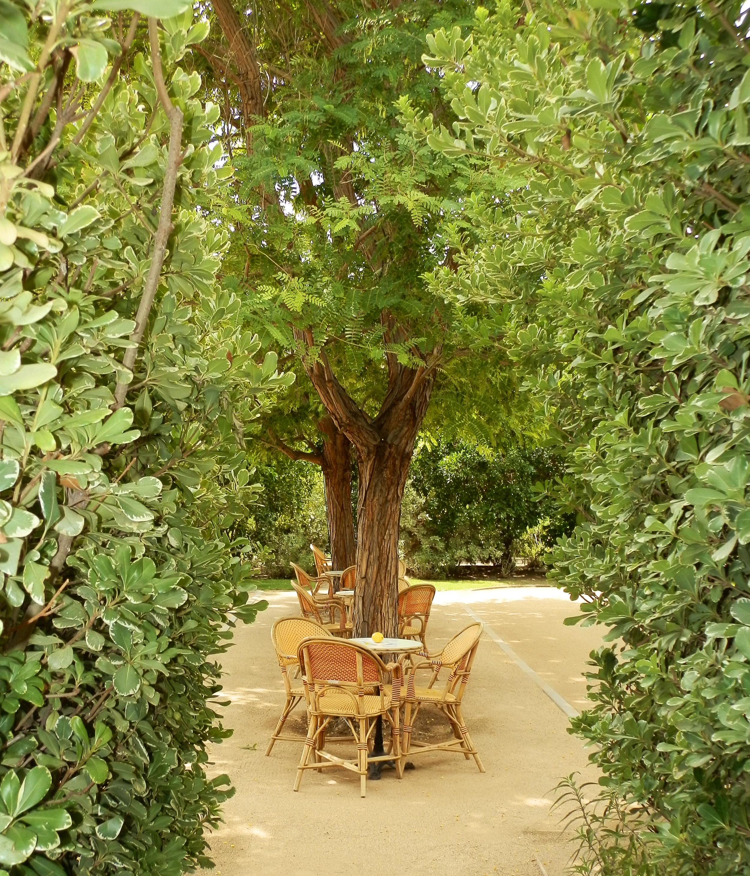 GARDEN AREA