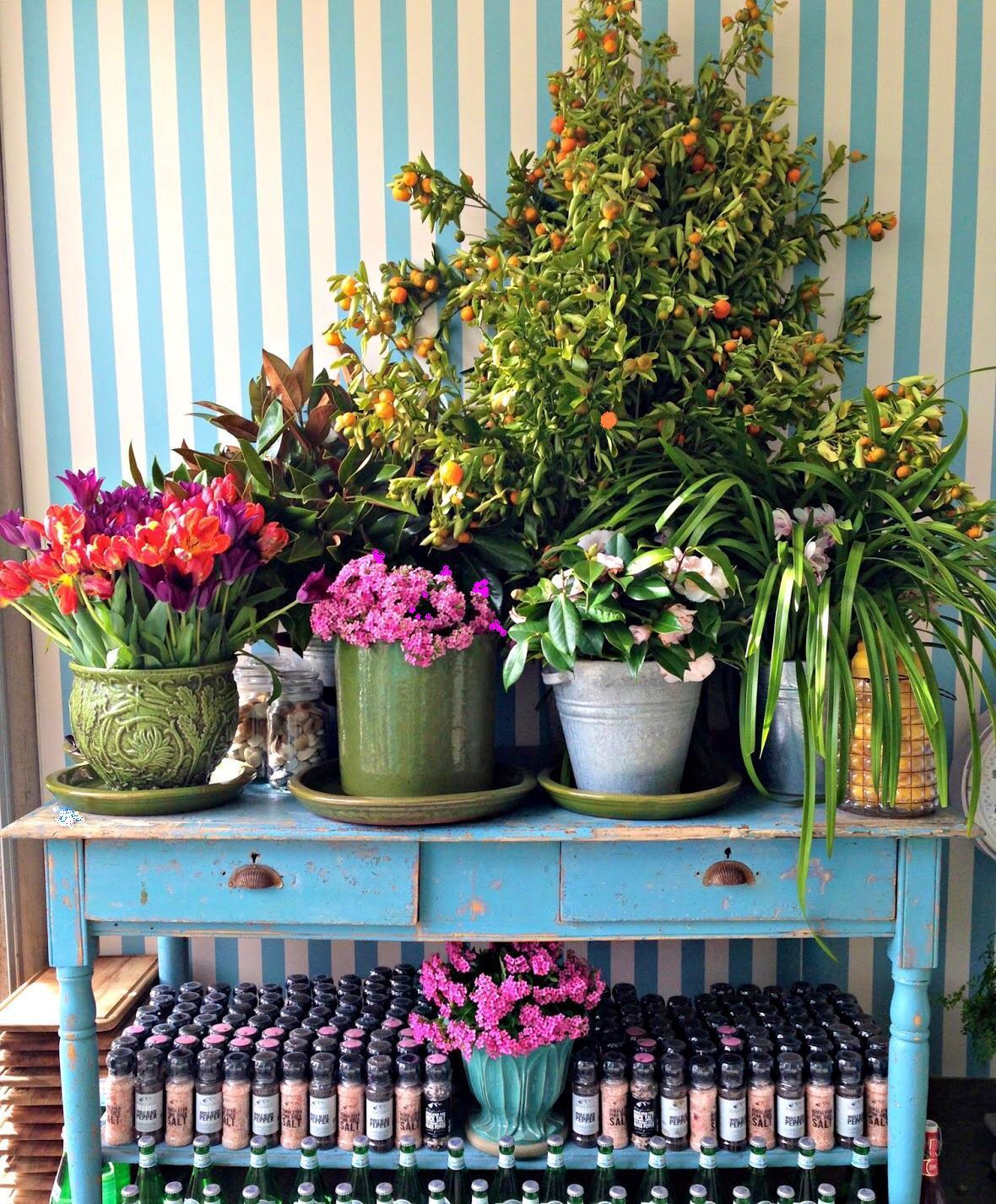 BEAUTIFUL DECOR