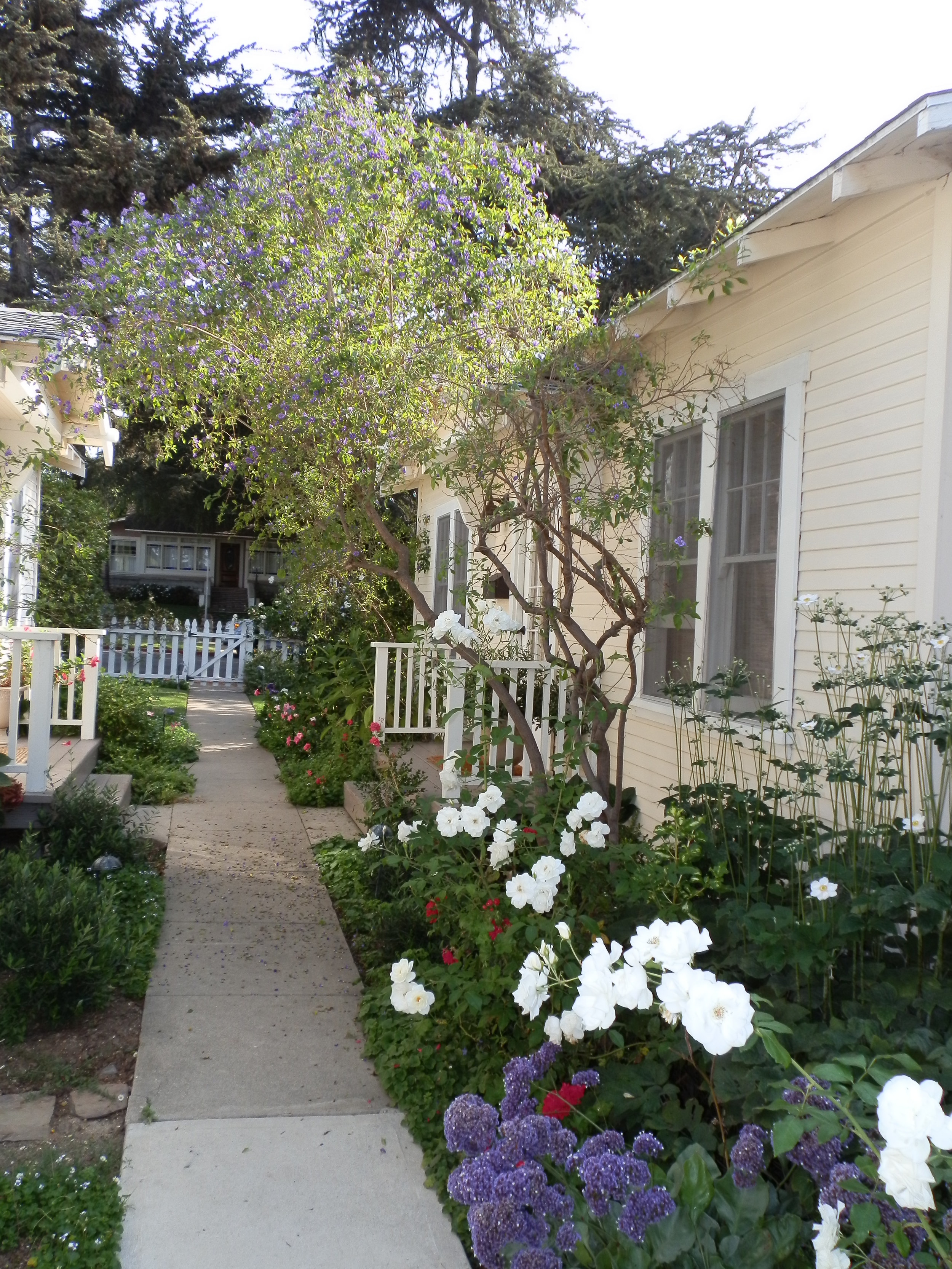 OUR BEAUTIFUL COTTAGE