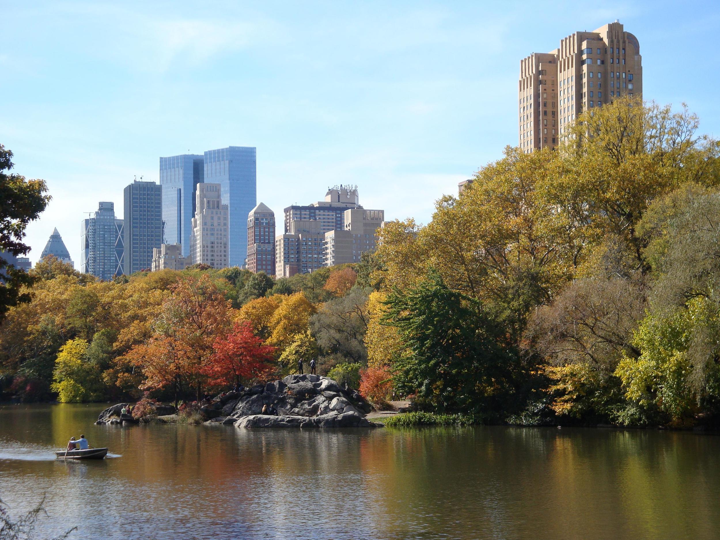 CENTRAL PARK AND CITY VIEW