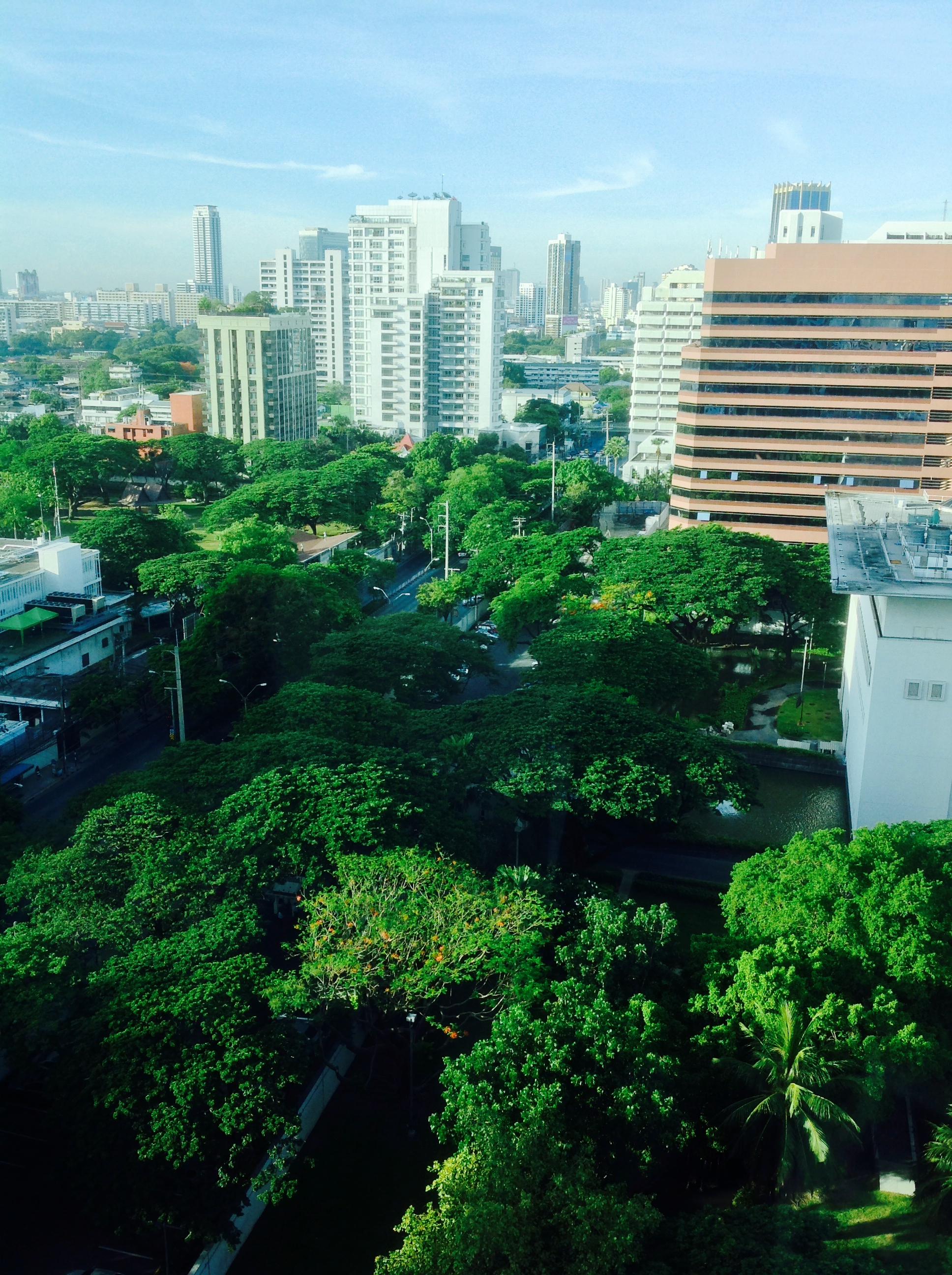 View From Corner Suite