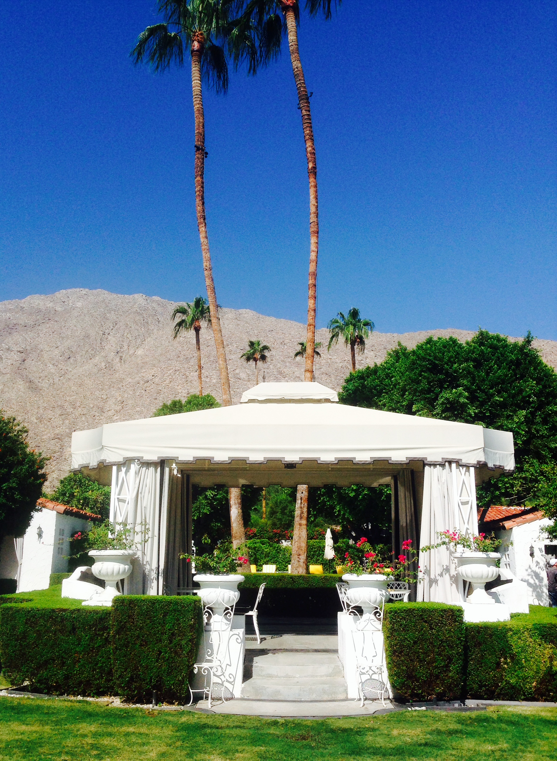 Stunning grounds at the Viceroy Palm Springs