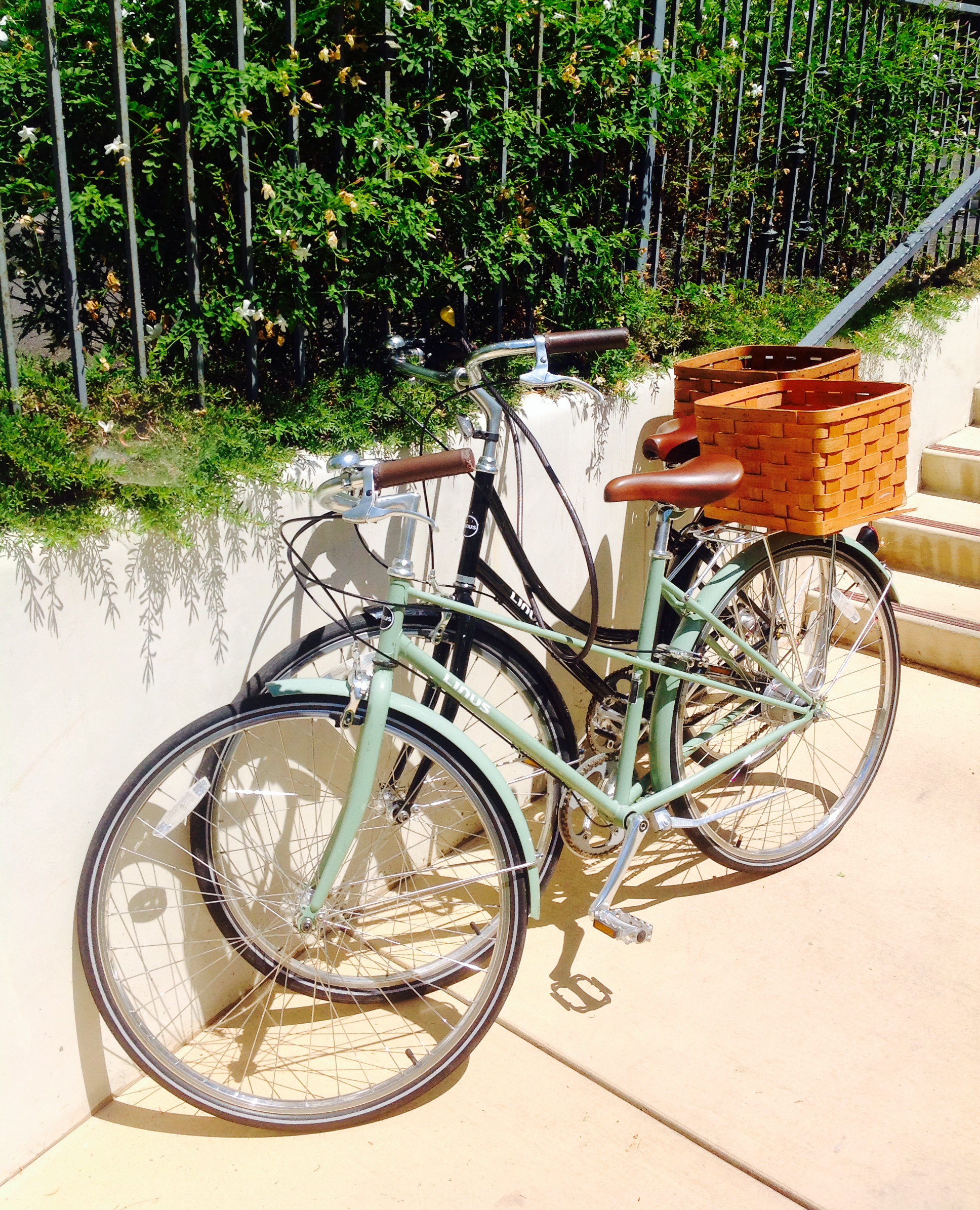 This is a picture of 2 bikes WE DID NOT RIDE. I took a photo- then contemplated riding them- but lay by the pool instead.