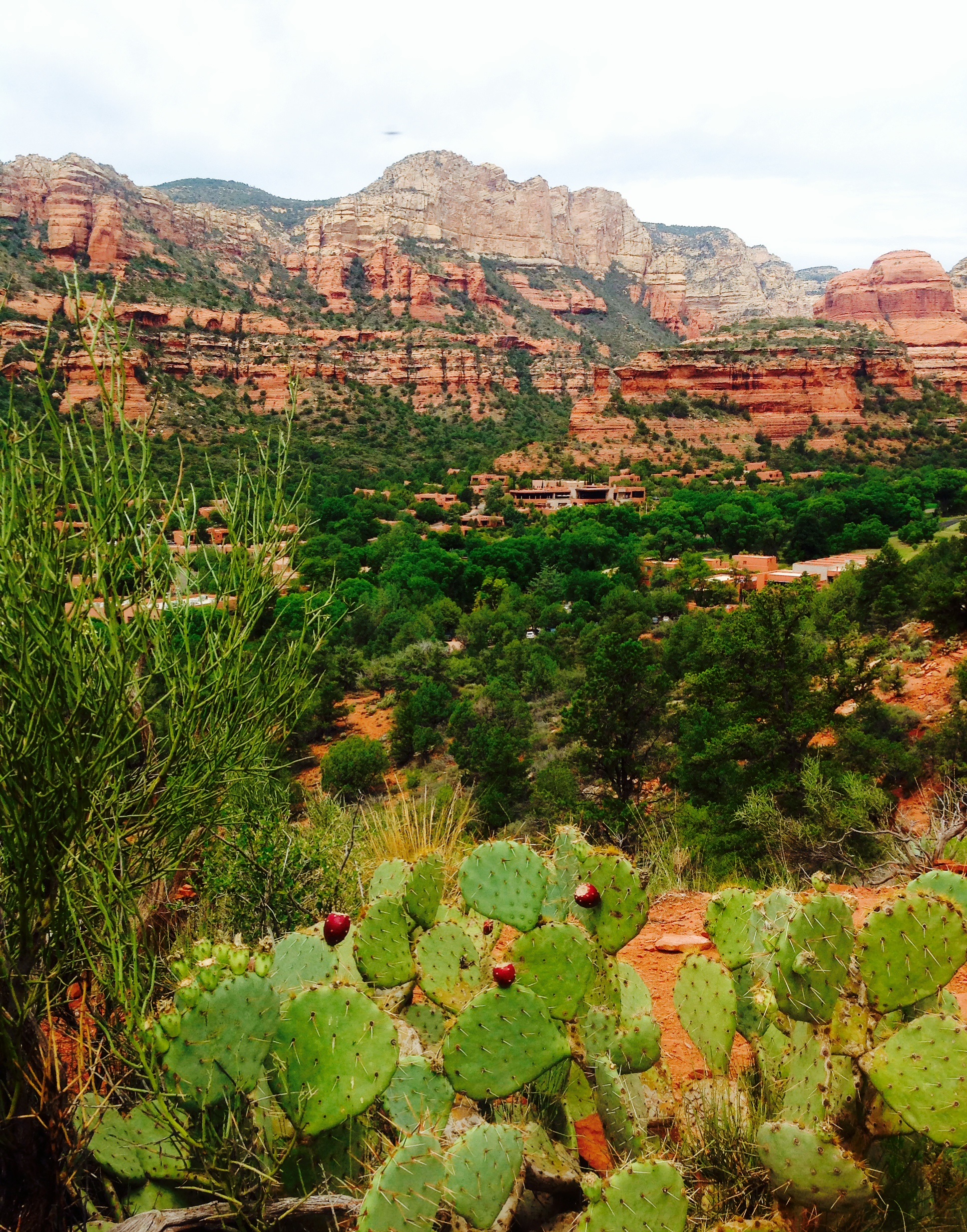 View from our hike- overlooking the property
