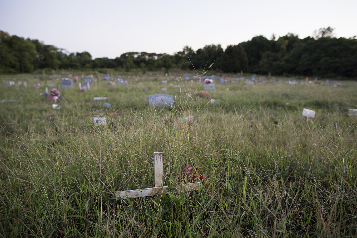  Graves in center section, still active for burials, Evergreen Cemetery, Richmond, VA, September 14, 2015 