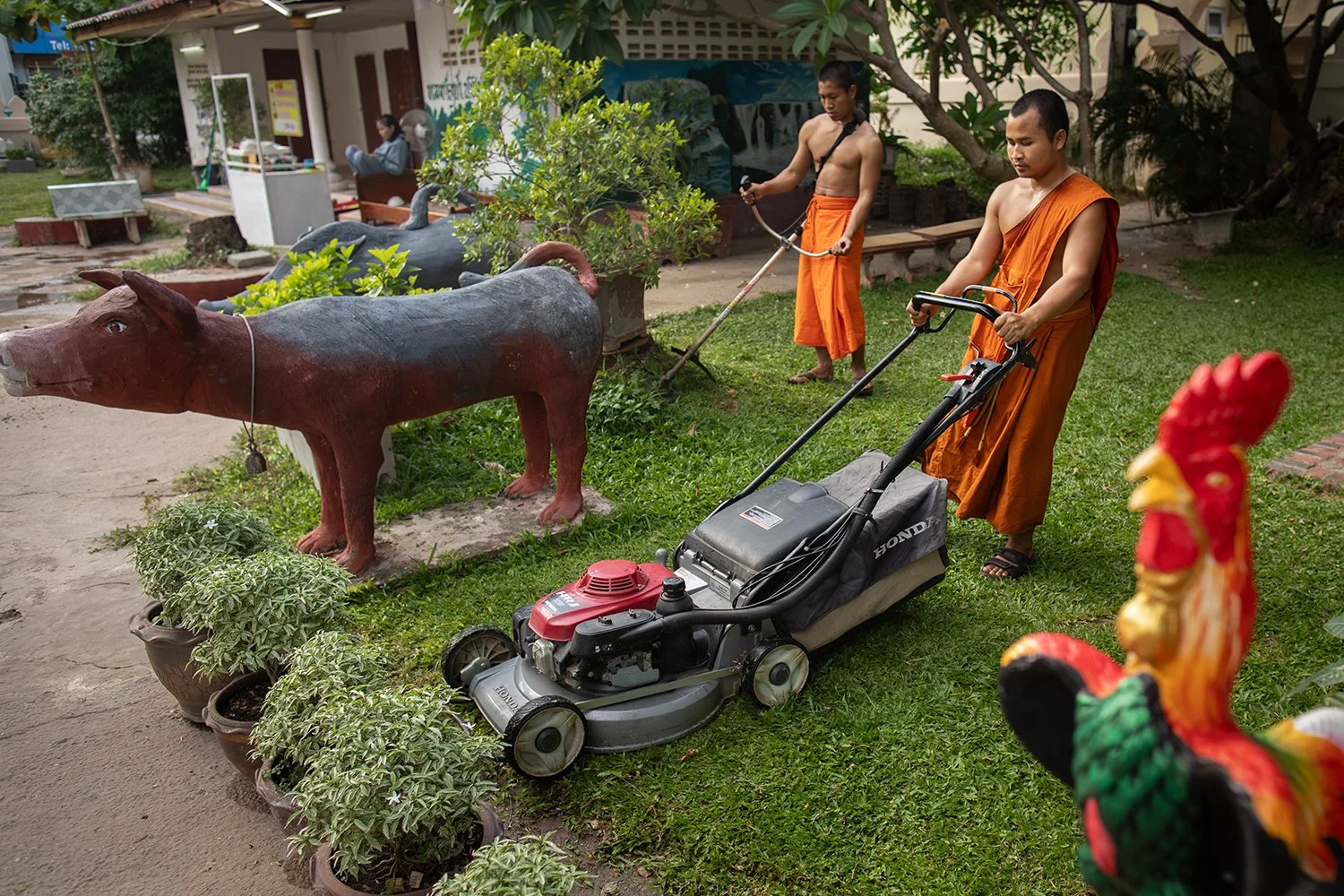 Novices mow, Vientiane, Laos, 2024