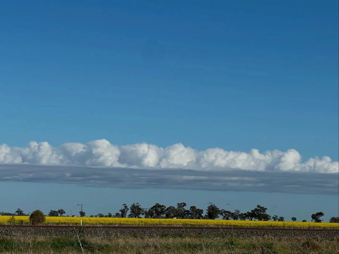 One&rsquo;s perspective can completely change one&rsquo;s reality

A beautiful sunny winter&rsquo;s day but a mouse in this canola field may feel it&rsquo;s about to pour!

#staycurious #placebased #cicerodesign #perspective #differentpointsofview #s
